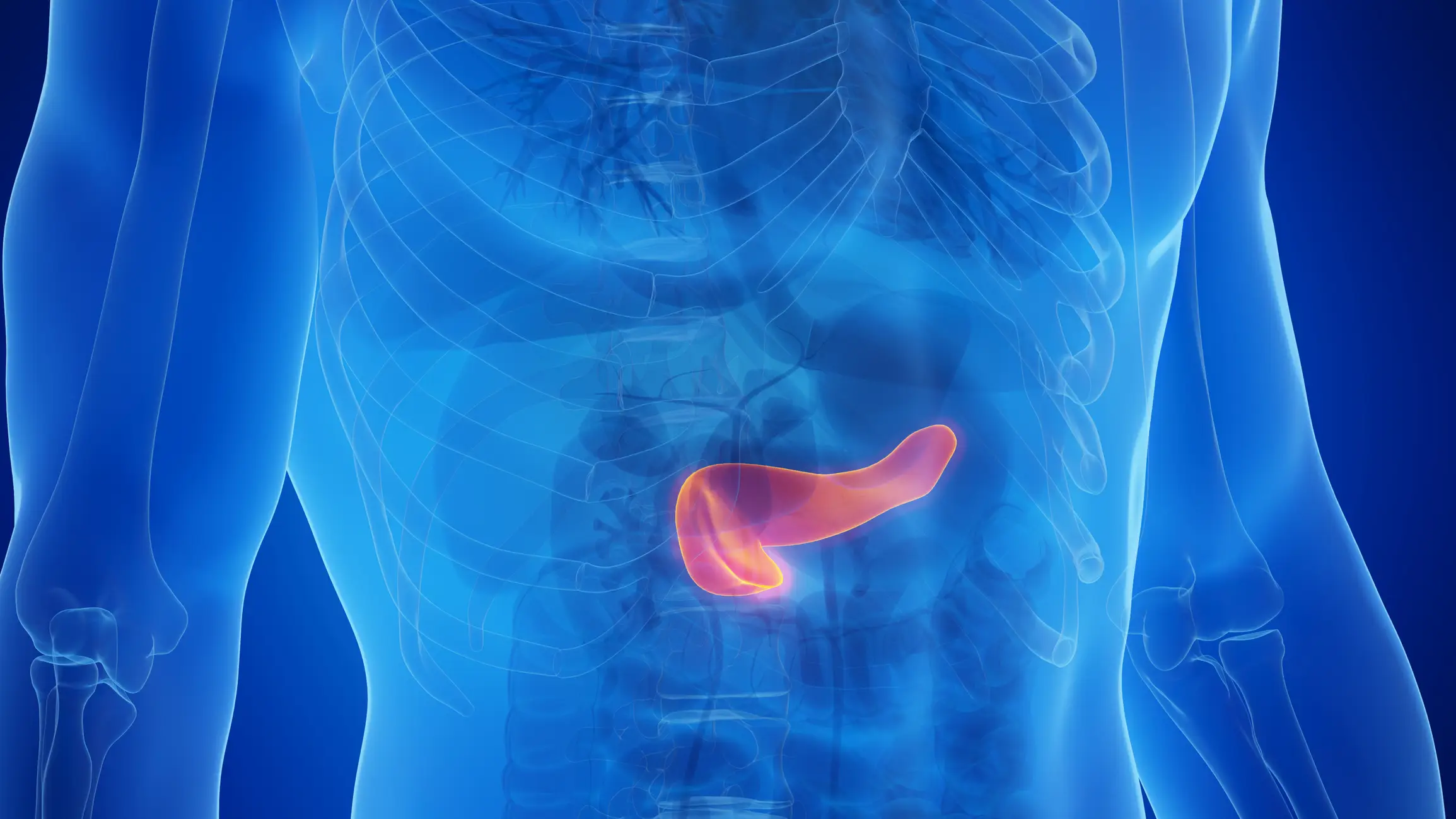 An investigation has been launched into semaglutides' potential for causing pancreas issues (SEBASTIAN KAULITZKI/SCIENCE PHOTO LIBRARY/Getty Images)