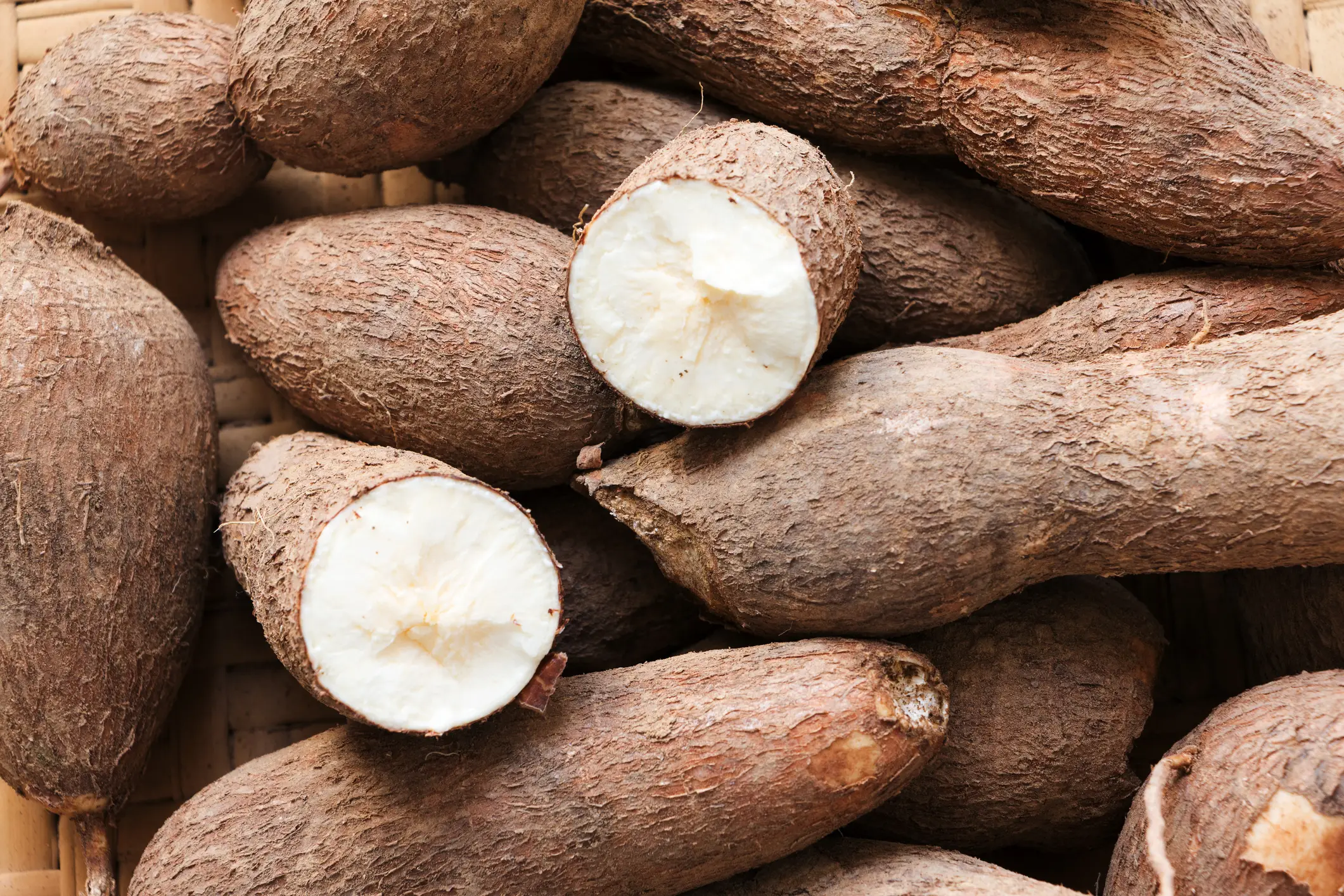 Cassava might look unassuming, but it's dubbed the 'world's deadliest food' (photograph by dorisj via Getty Images)