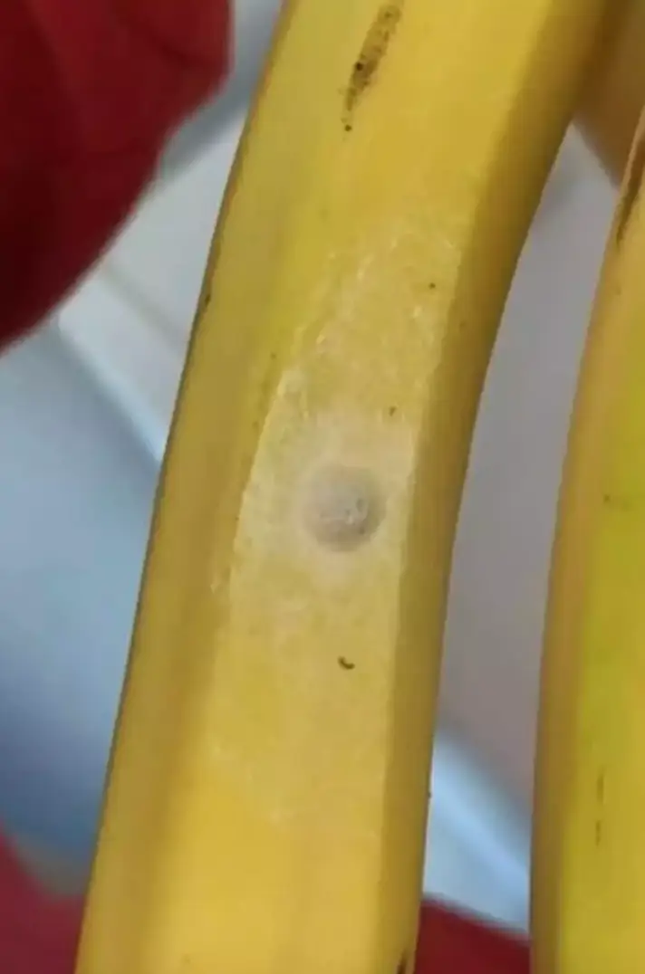 (Facebook/Chanel Annalise Russell)