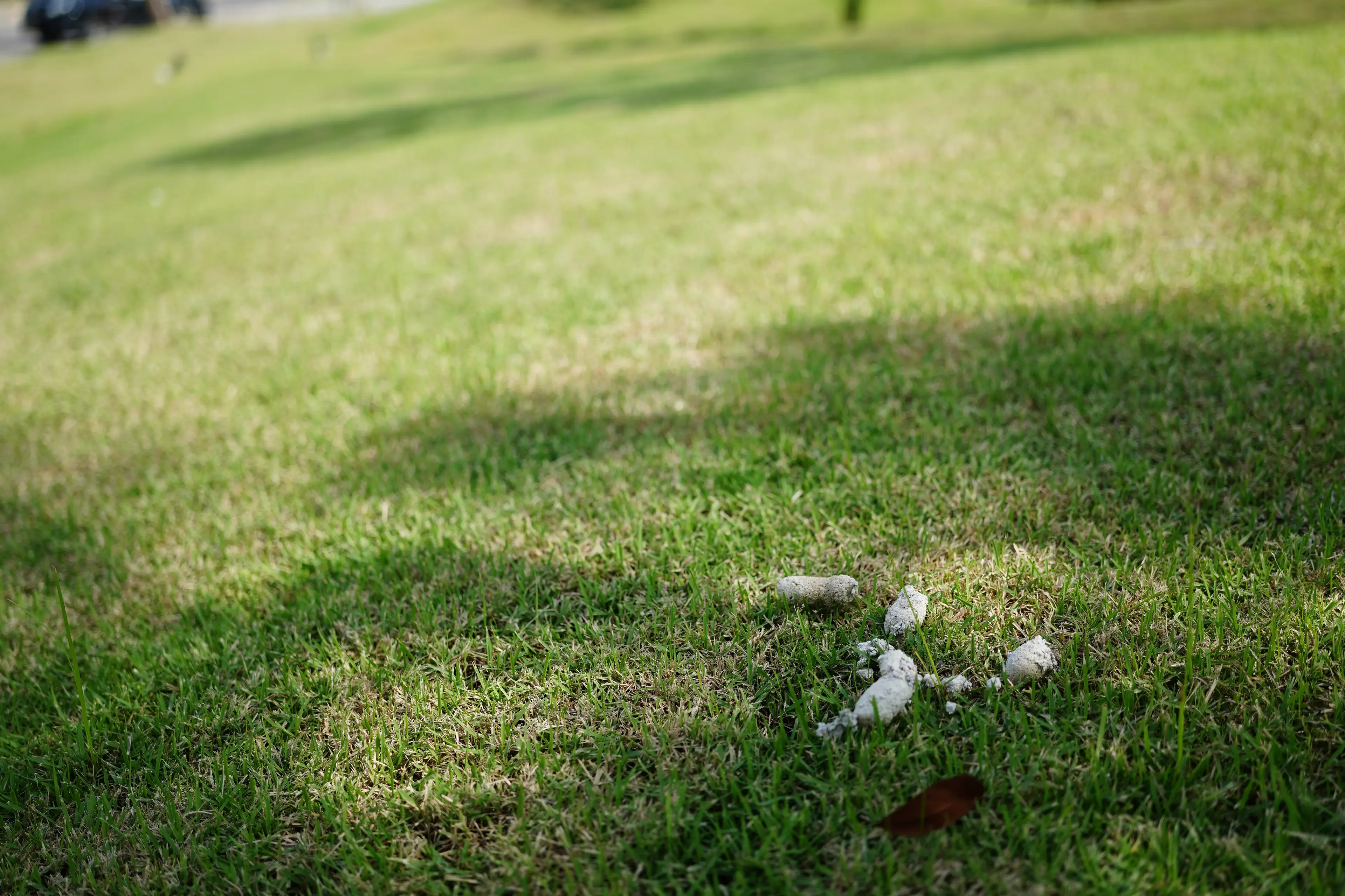 (Supersmario/Getty Images)