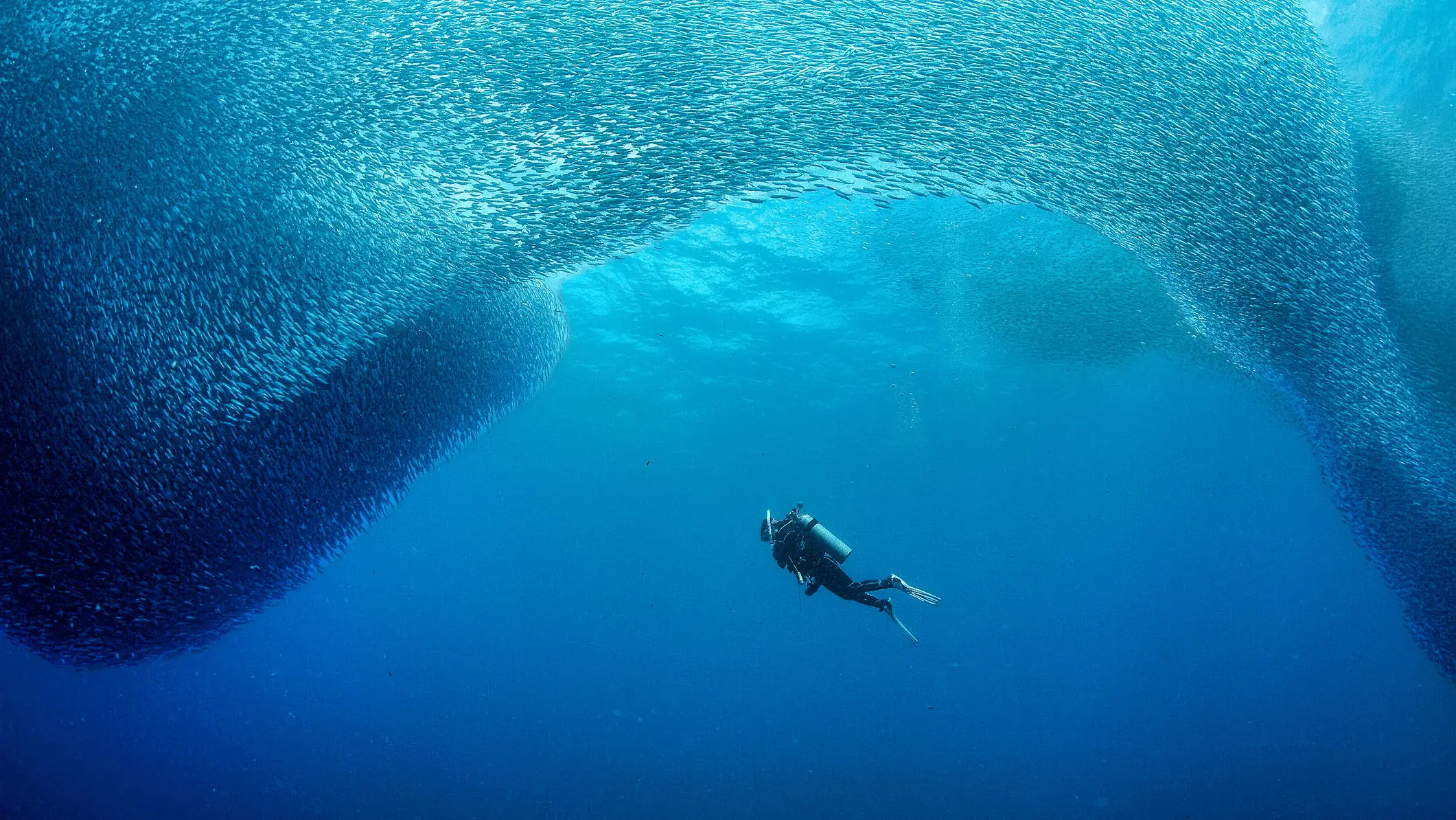 lee ricketts/Getty Images