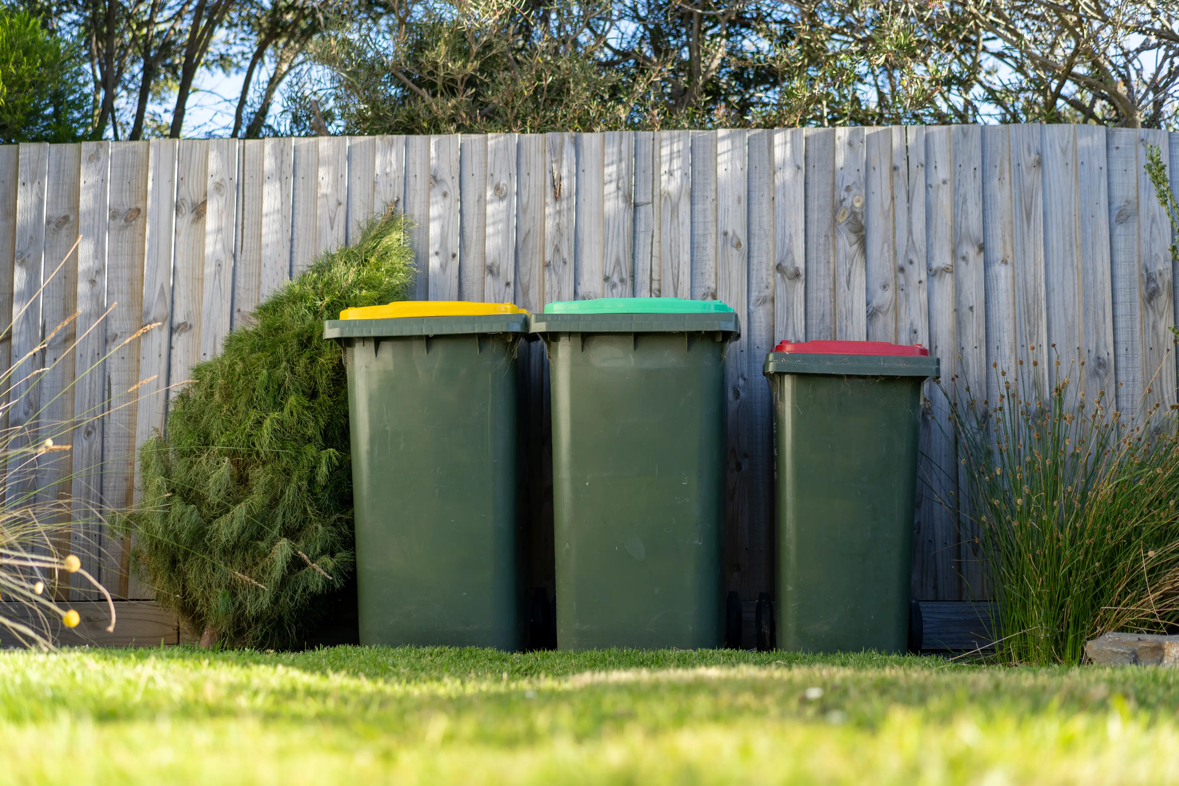 Regularly deep-clean and empty your bins to avoid rotting food and bad odours (Getty Stock Image)