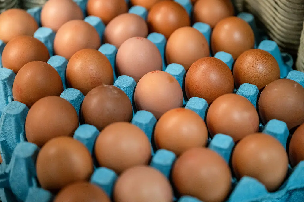 The source of the outbreak is being investigated (Getty Stock Image)