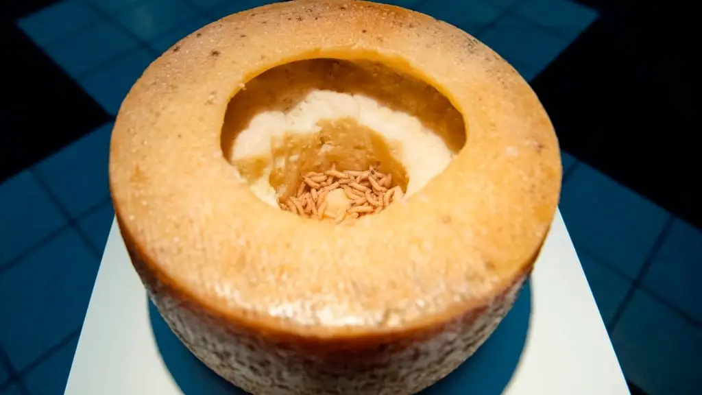 JOHAN NILSSON/Getty Images