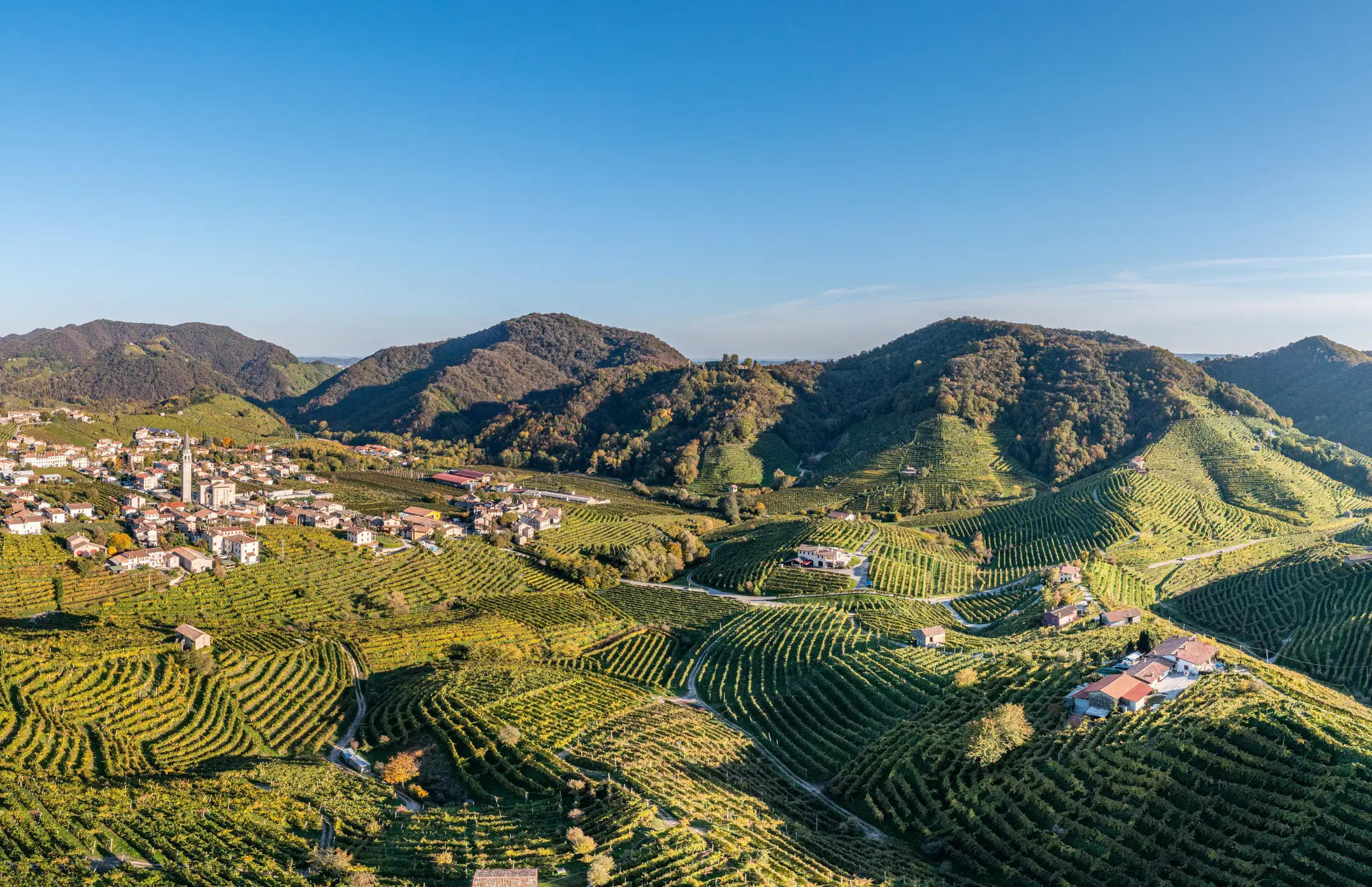 Prosecco originated in Italy's Veneto region (Francesco Riccardo Iacomino/Getty Images)