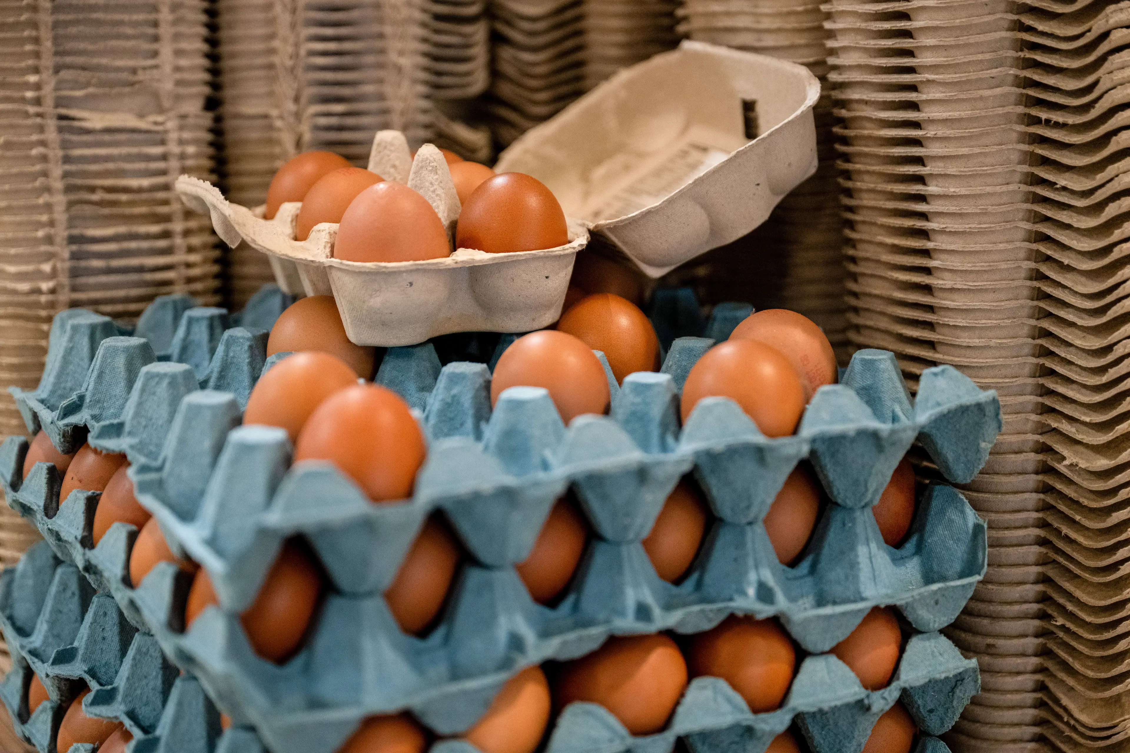 It's believed imported eggs are linked to the Salmonella outbreak (Chris J. Ratcliffe/Bloomberg via Getty Images)