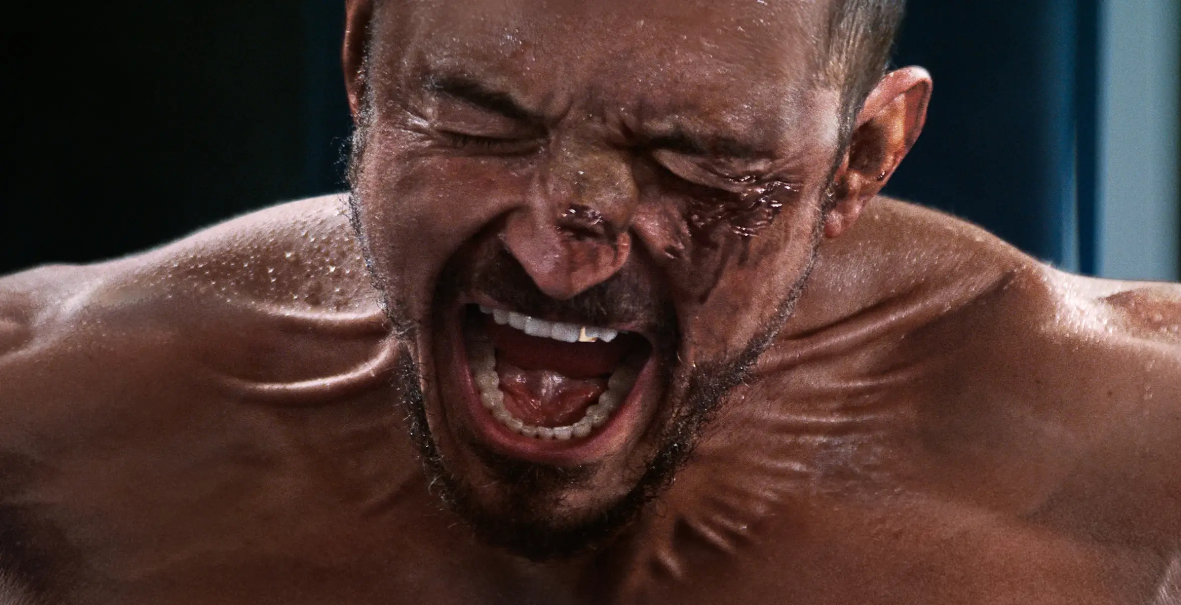 Bloom in The Cut (Republic Pictures/Altitude Film Distribution)