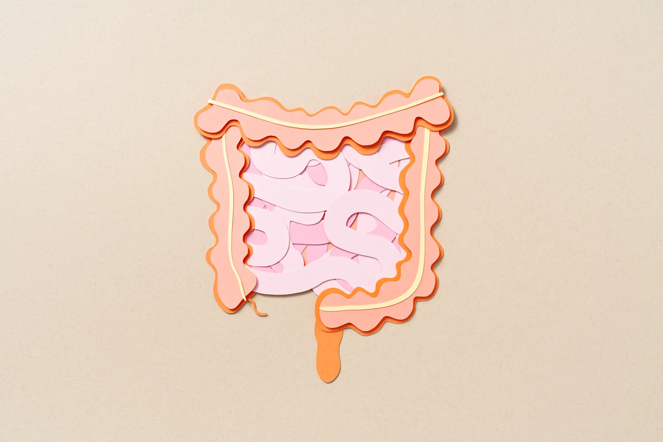 The digestive system plays a huge role in our overall health (Getty Stock Image)