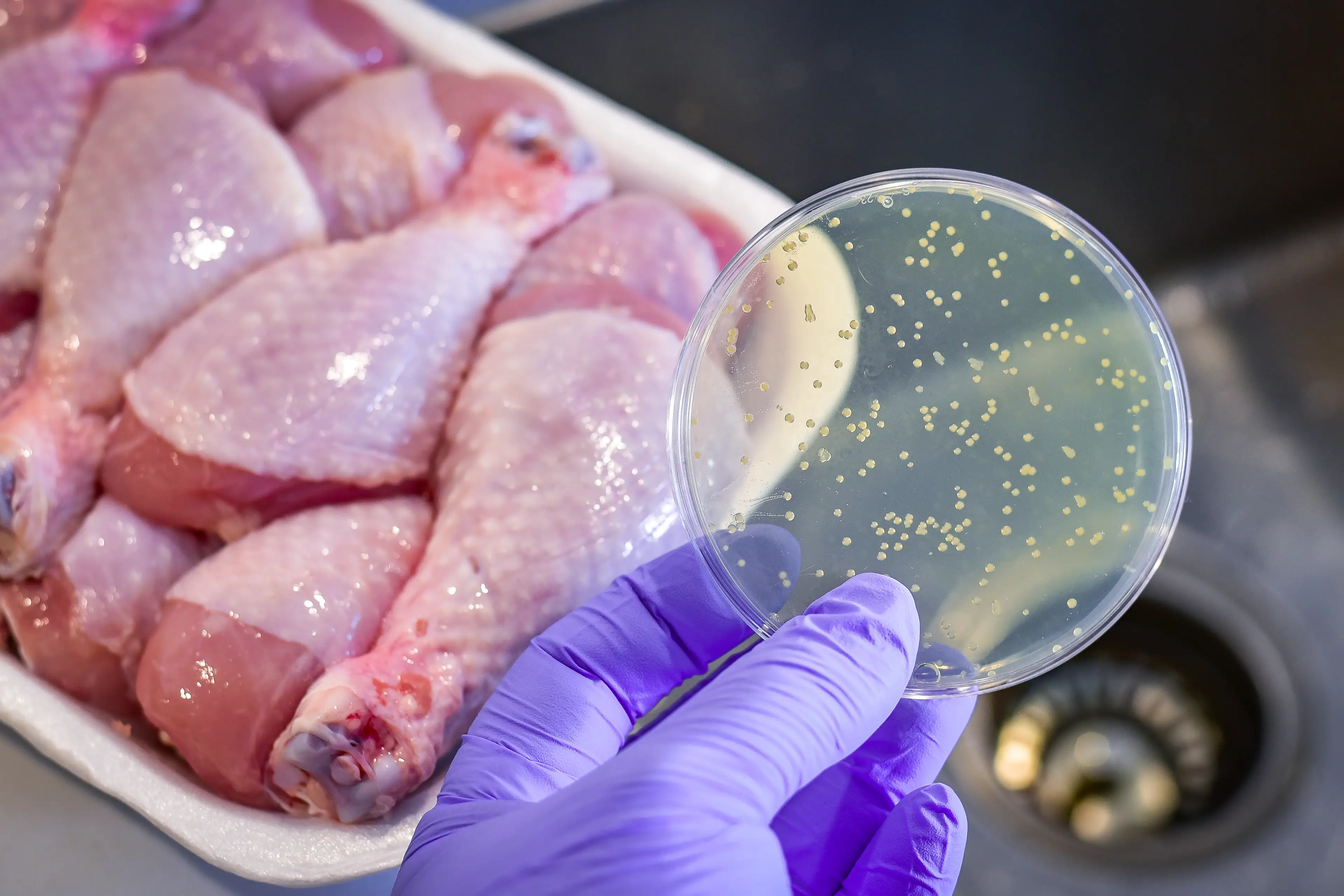 Two people have died following a Salmonella outbreak (Getty Stock Image)