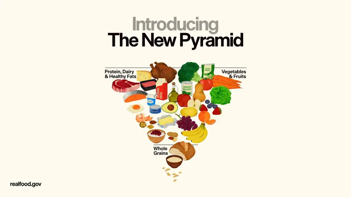 The new food pyramid recommends American's prioritise protein, fats, and vegetables (USDA)