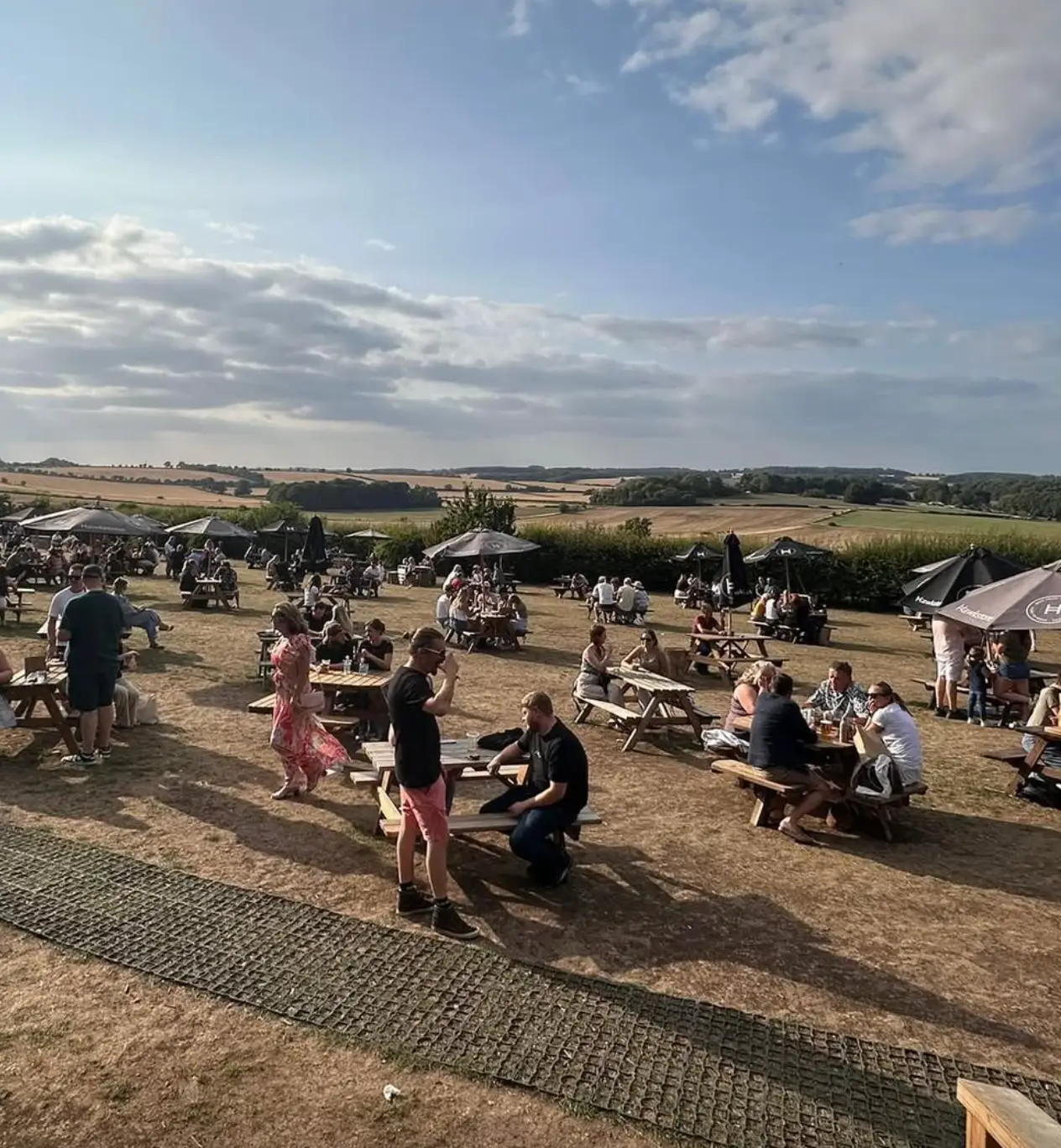 (Instagram/@thefarmersdogpub)