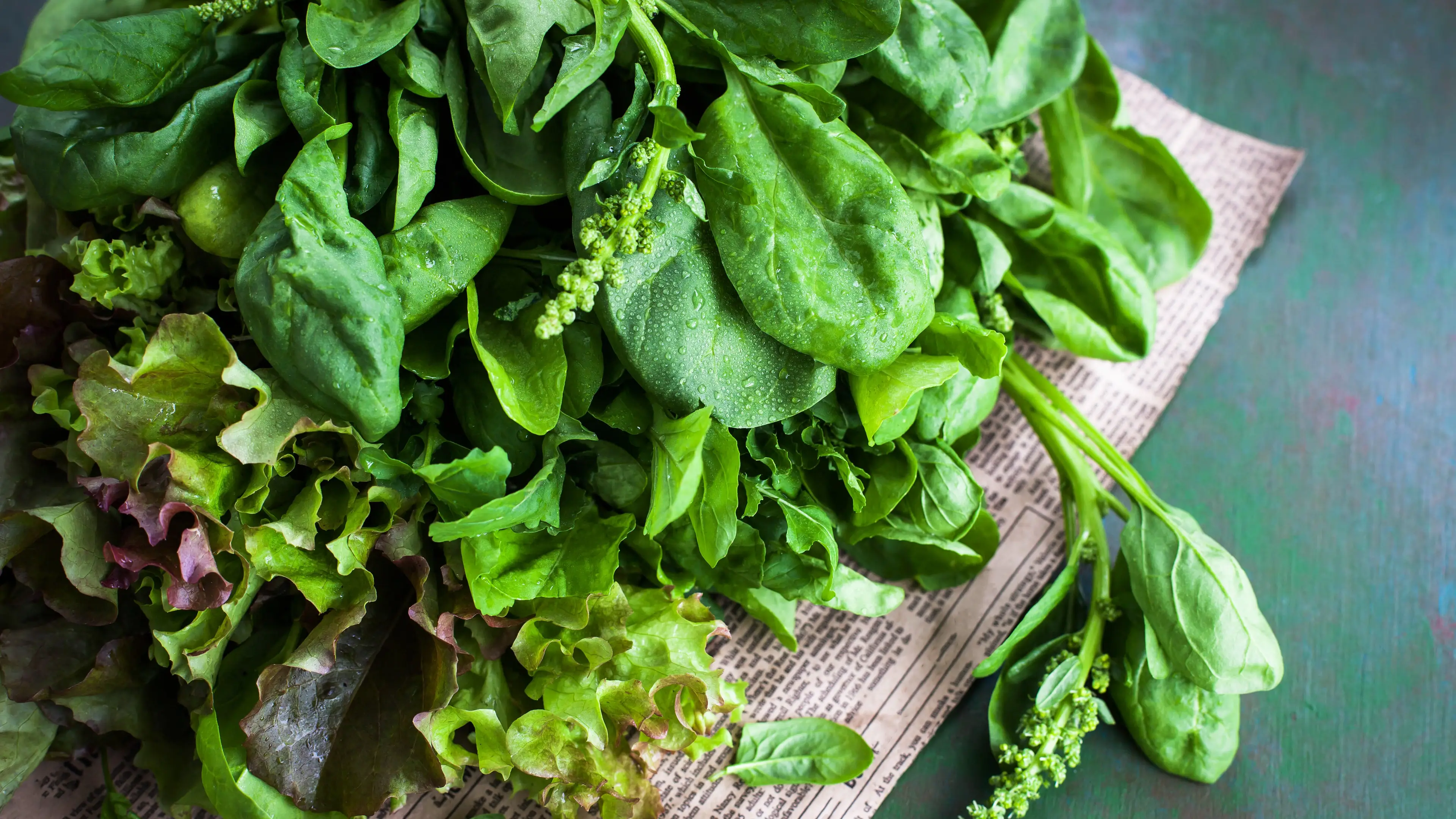 Ekaterina Smirnova/Getty Images