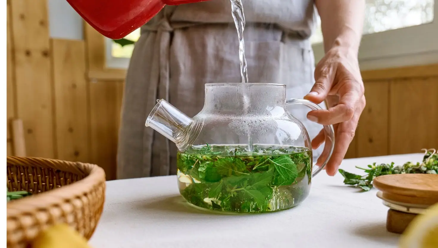 Experts have weighed in on the lemon balm tea trend, claiming its weight-loss properties are a possible 'hoax' (Getty Stock Image)