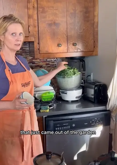 Nixon at home in her kitchen (cynthiaenixon/Instagram)