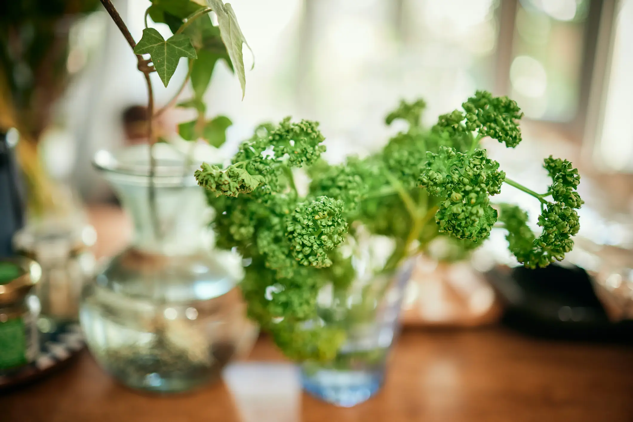 Parsley and cilantro have been identified as the source of the spike in cyclosporiasis cases. (