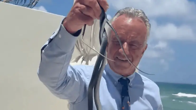 X/@robertkennedyjr