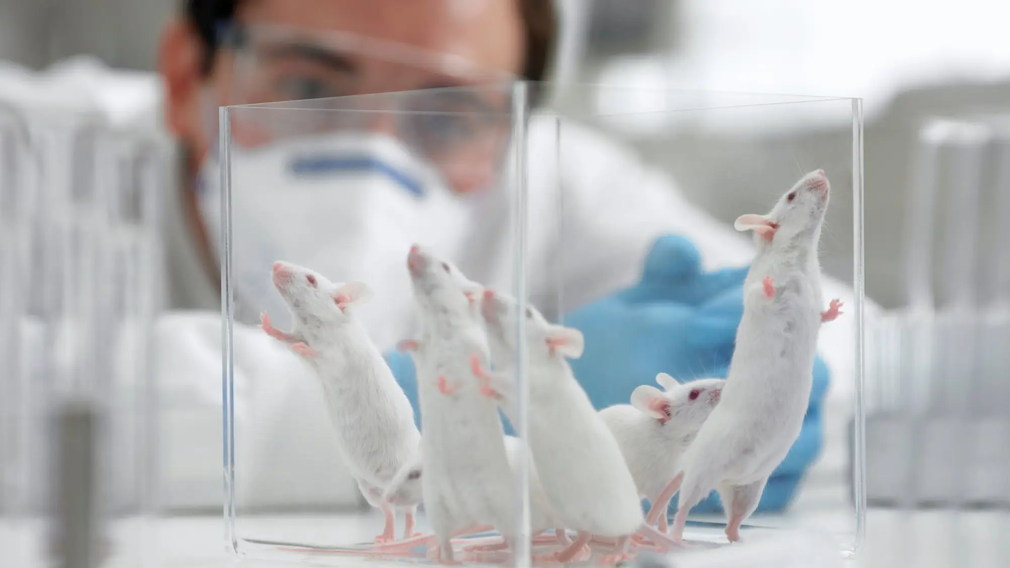 Adam Gault/Getty Images