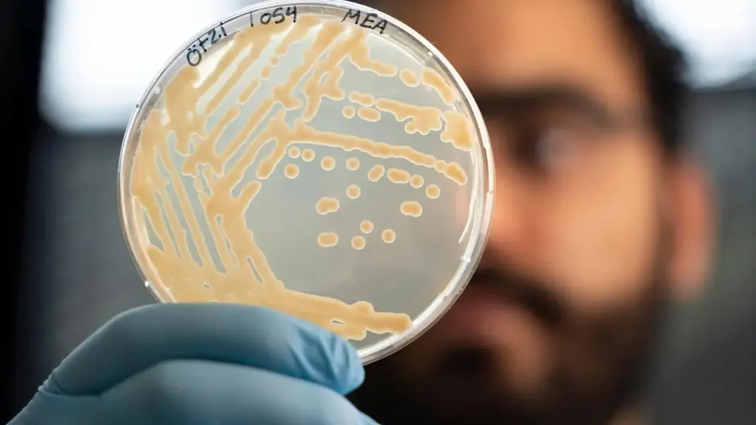 Scientists make bread using yeast found in guts of 5300-year-old mummy