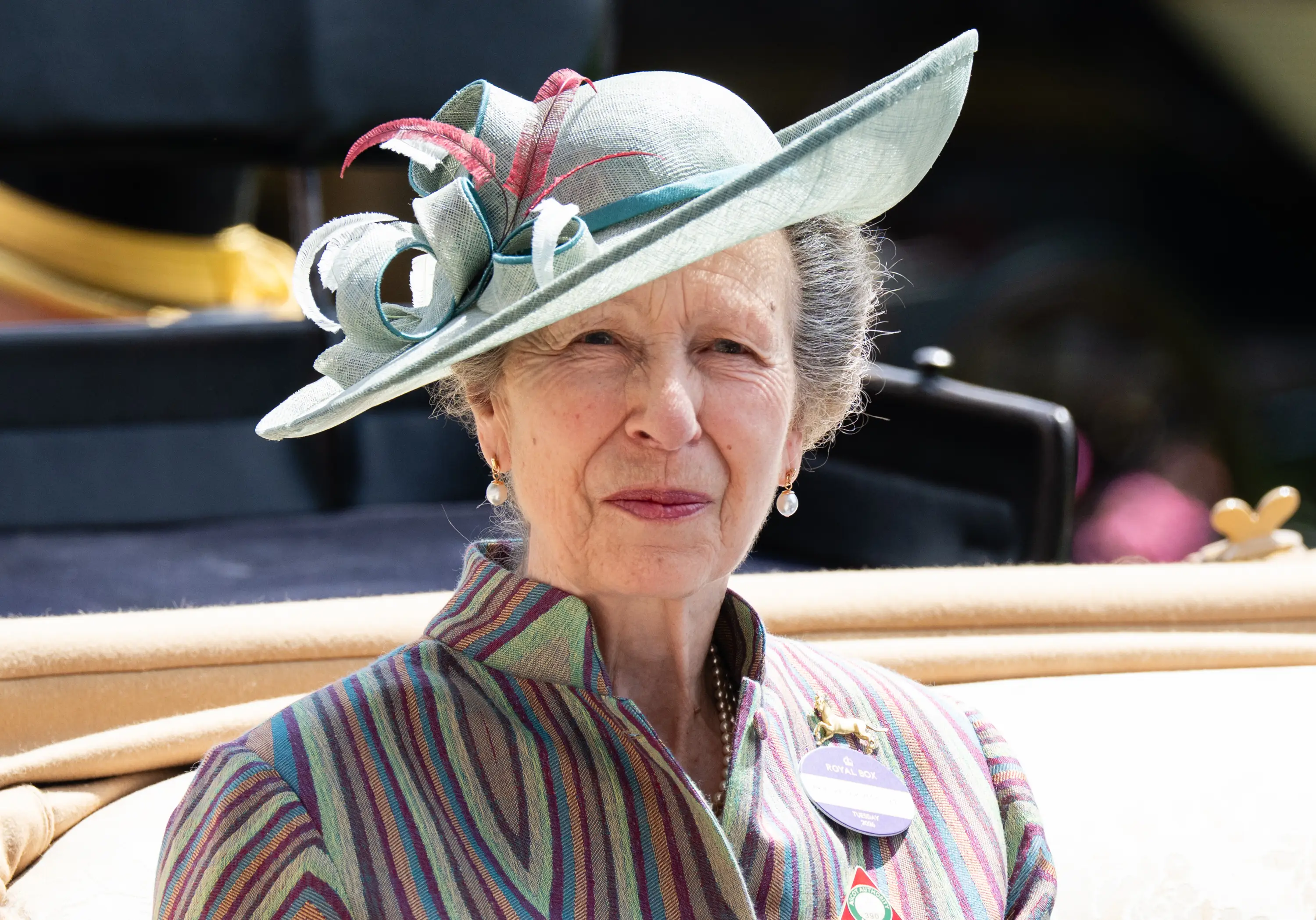 Princess Anne allegedly eats the same fruit every day (Samir Hussein/WireImage)