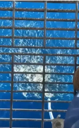 The feeding frenzy begins - Reddit