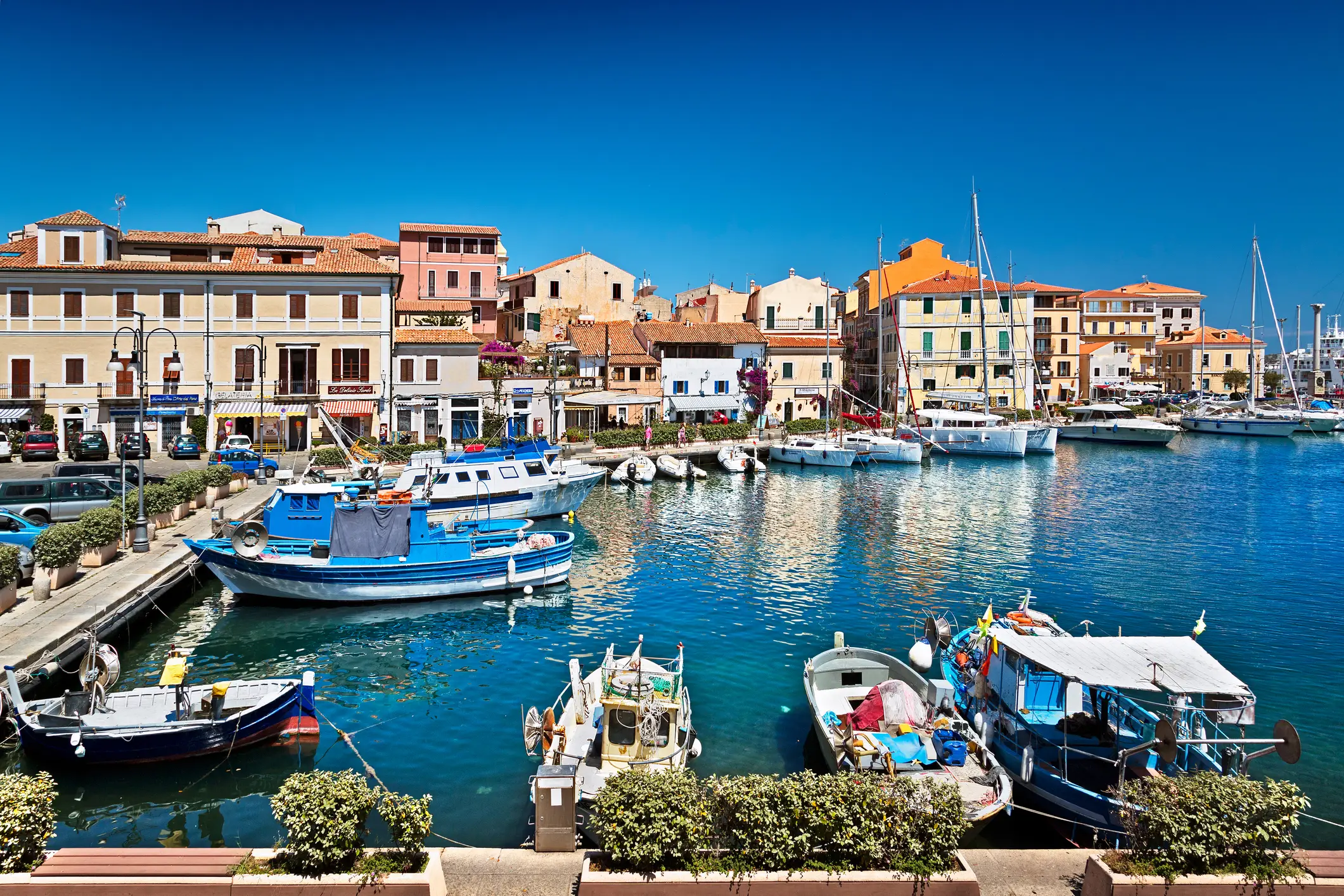 Blue Zones also tend to be beautiful, as with Sardinia pictured here (Ellen van Bodegom/Getty Images)