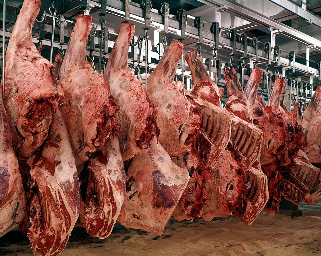 It was a traumatising workplace that also formatively pushed him forward (H. Armstrong Roberts/Stringer/Getty Images)