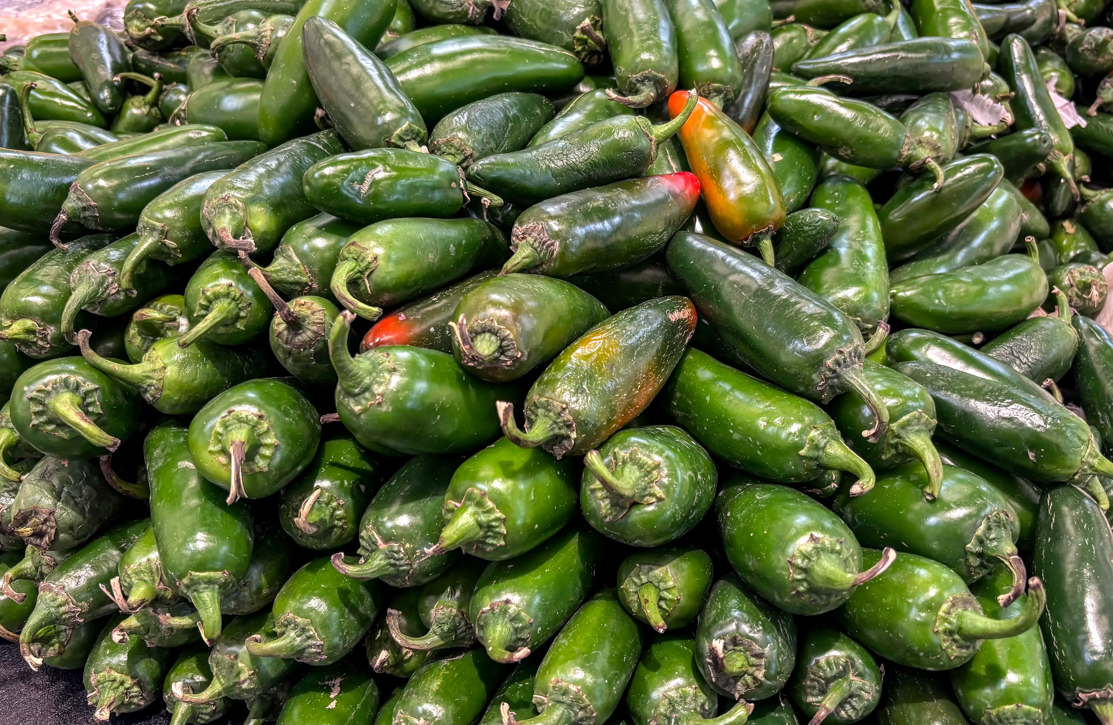 Health officials continue to investigate jalapeño peppers as the source of an ongoing Salmonella outrbeak (RONALDO SCHEMIDT / AFP via Getty Images)