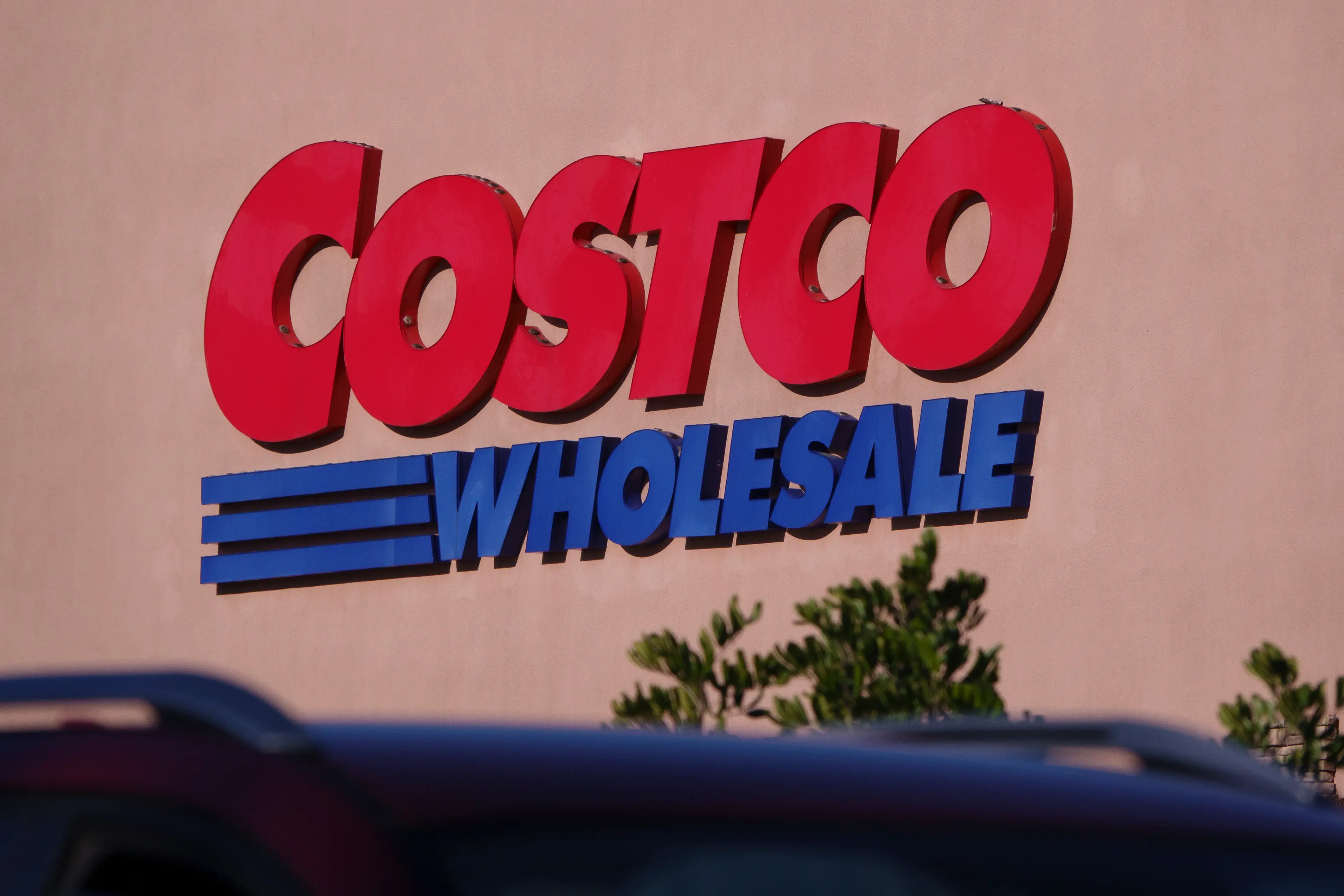 A class action lawsuit has been filed against Costco (Kevin Carter/Getty Images)
