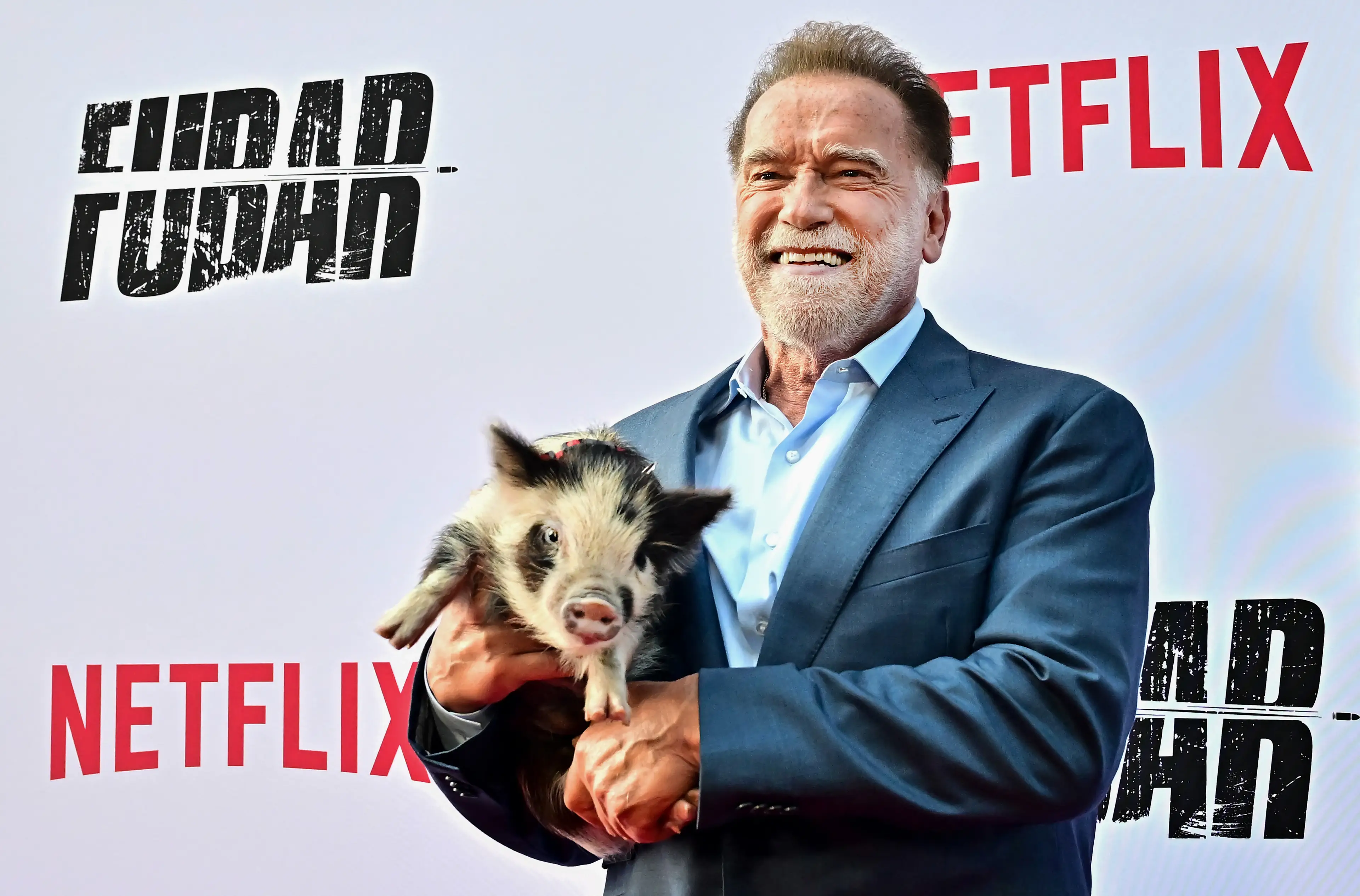 The Austrian-US actor retired from bodybuilding in 1980 (FREDERIC J. BROWN/AFP via Getty Images)
