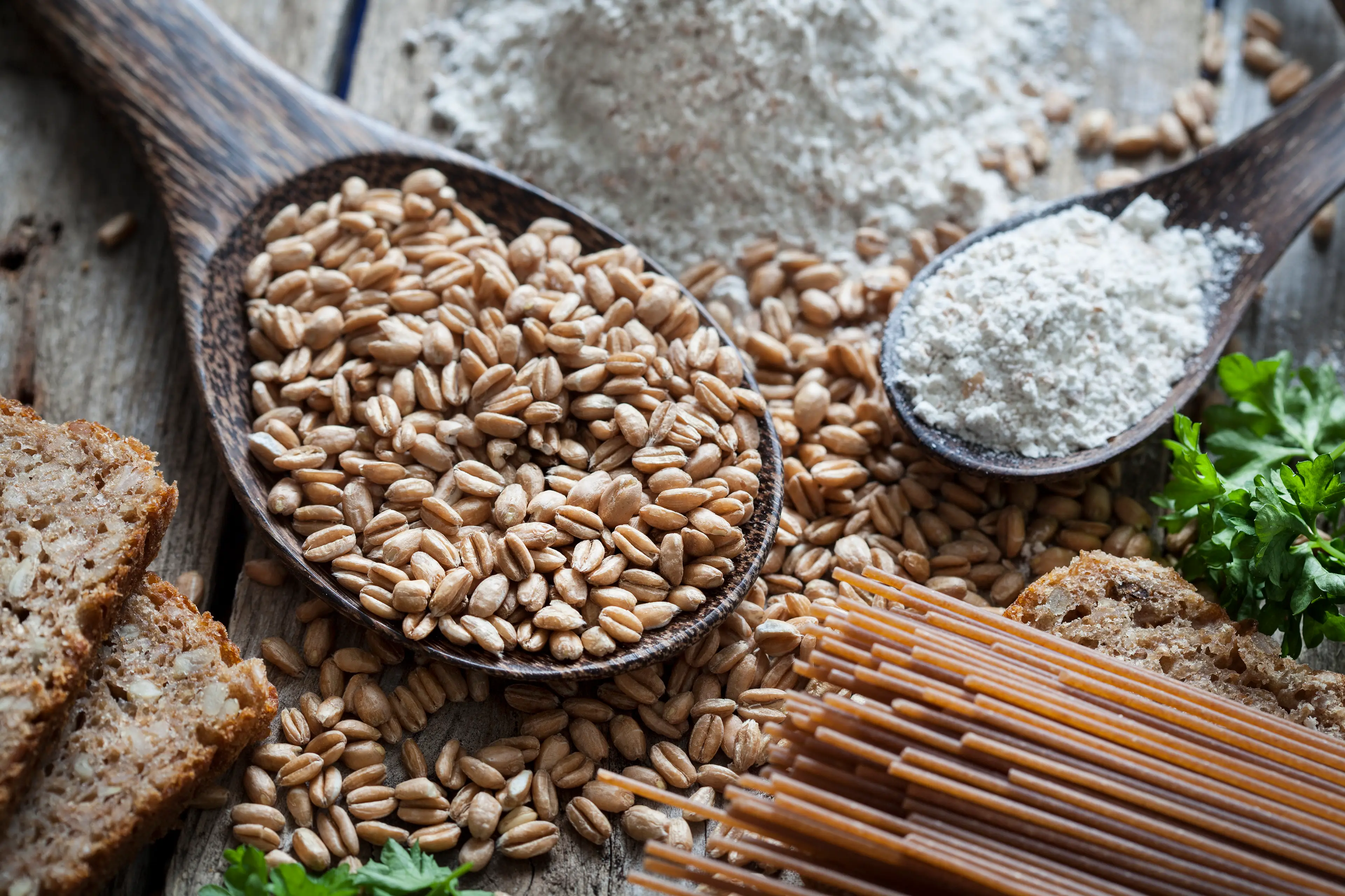 Spelt is an ancient grain with high fibre content (Getty Stock Image)
