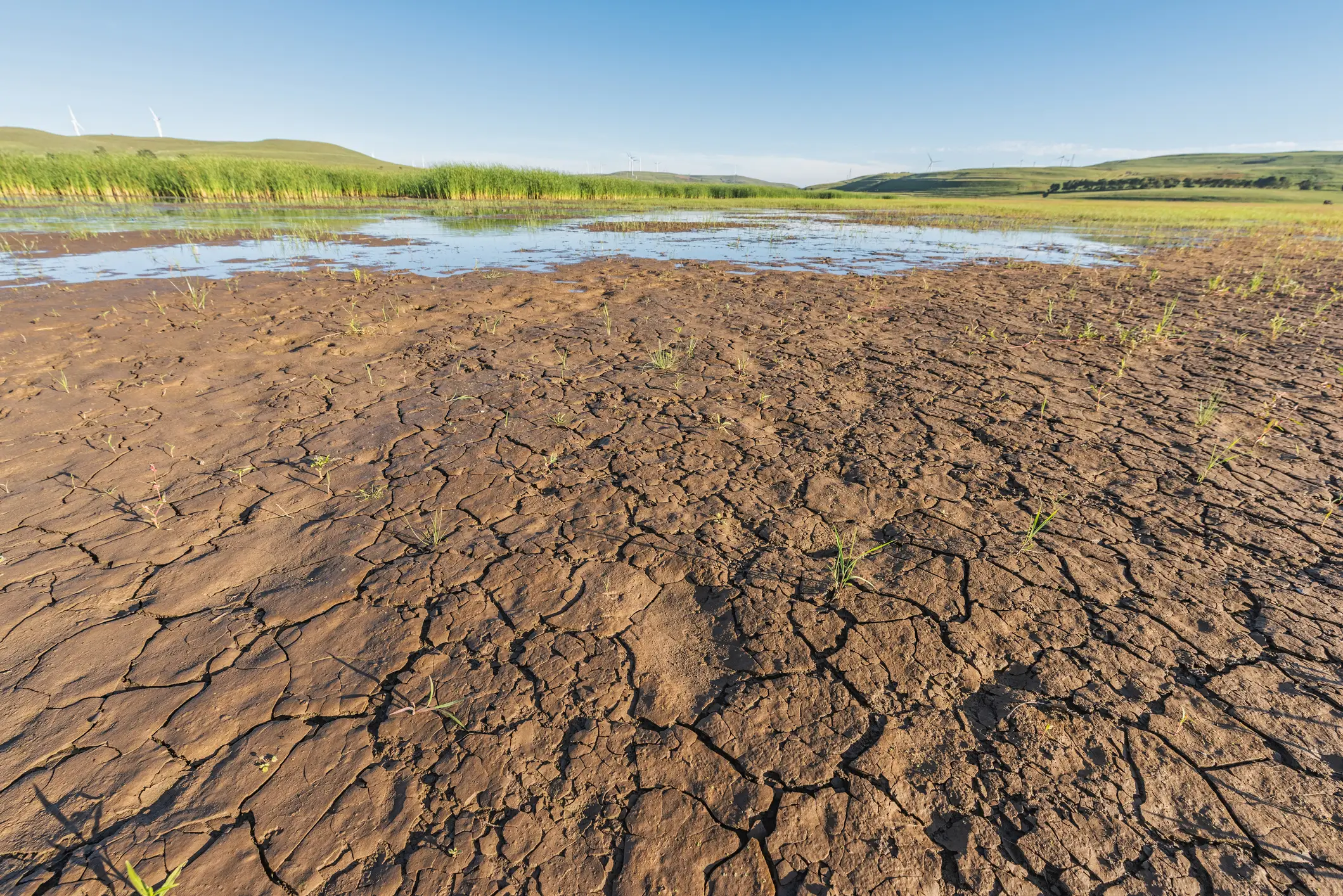 Climate change-associated droughts threaten global food supply chains (Xuanyu Han/Getty Images)
