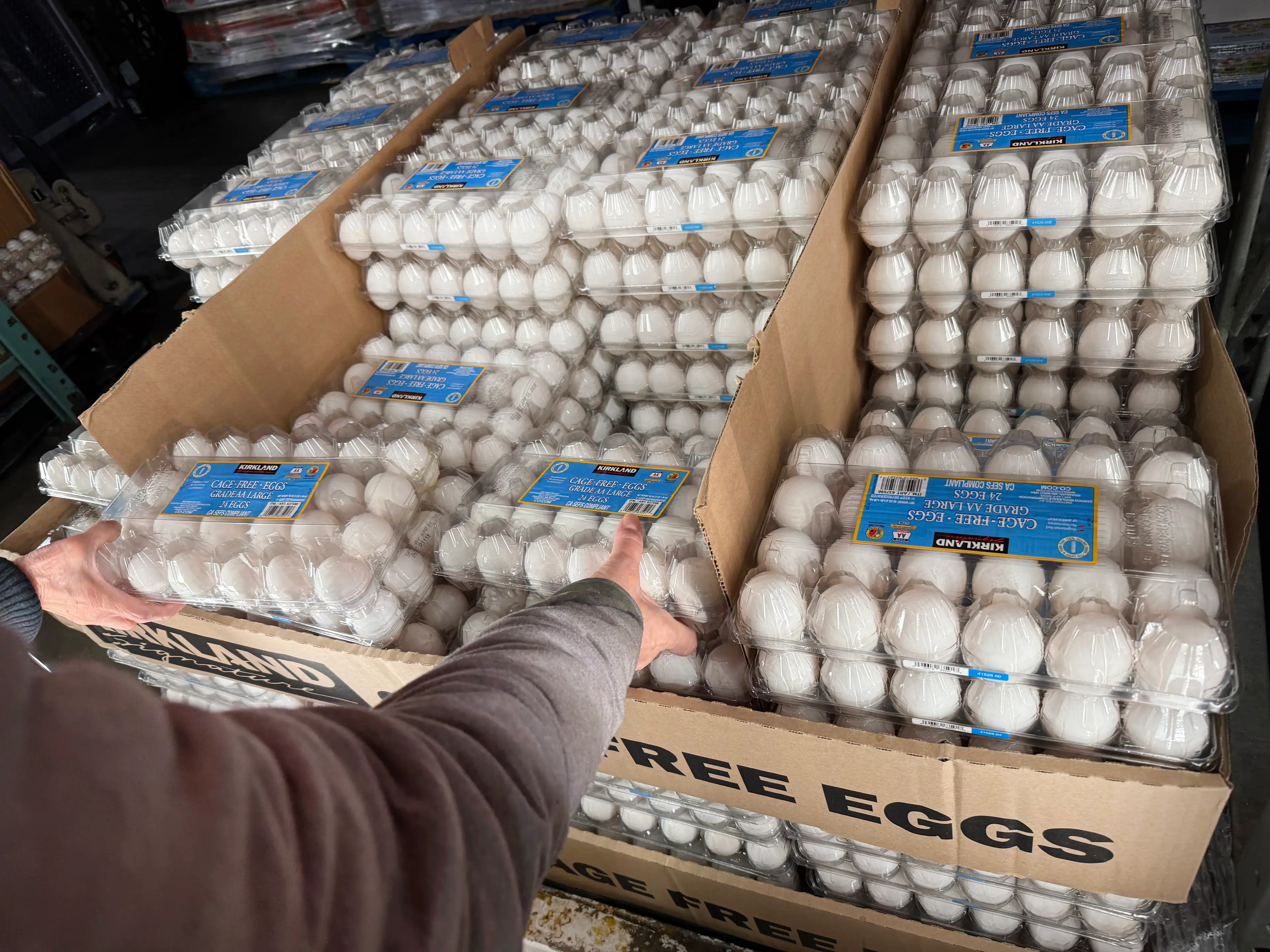 The company has confirmed a 'market share growth in eggs' (Lindsey Nicholson/UCG/Universal Images Group via Getty Images)