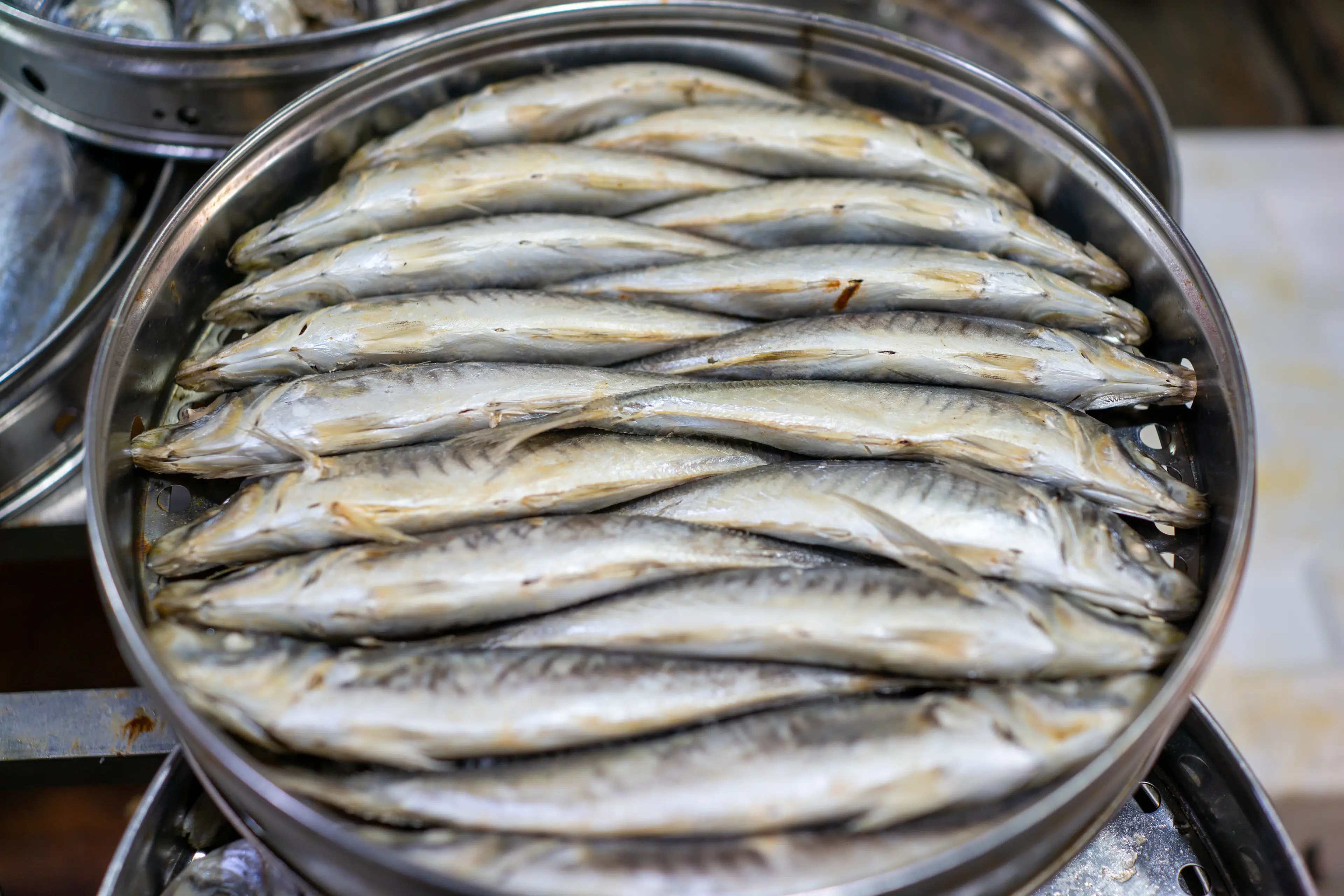 Mackerel is being overfished, with current breeding levels not being enough to replenish stocks (Getty Stock Image)