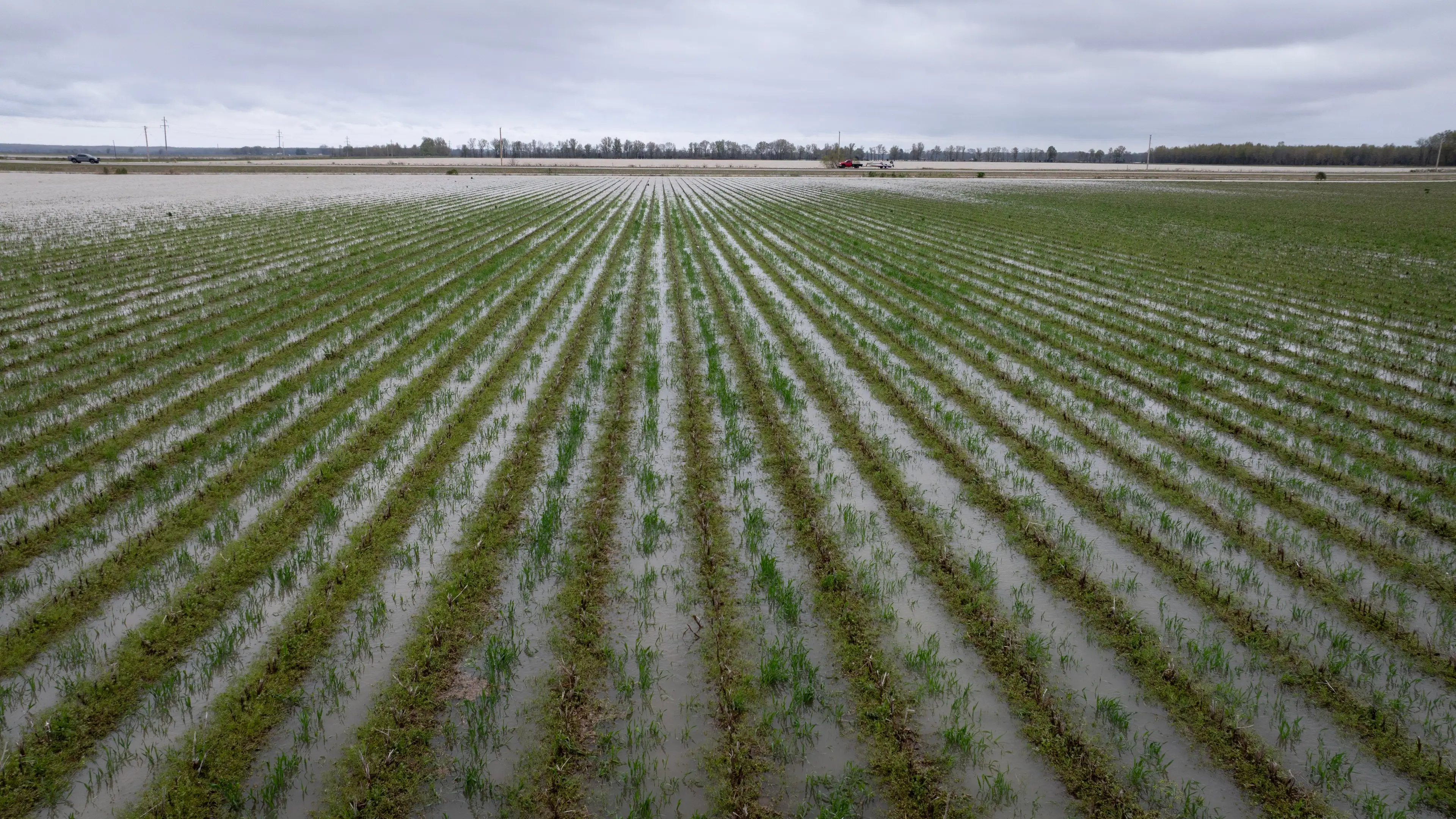  Scott Olson/Getty Images