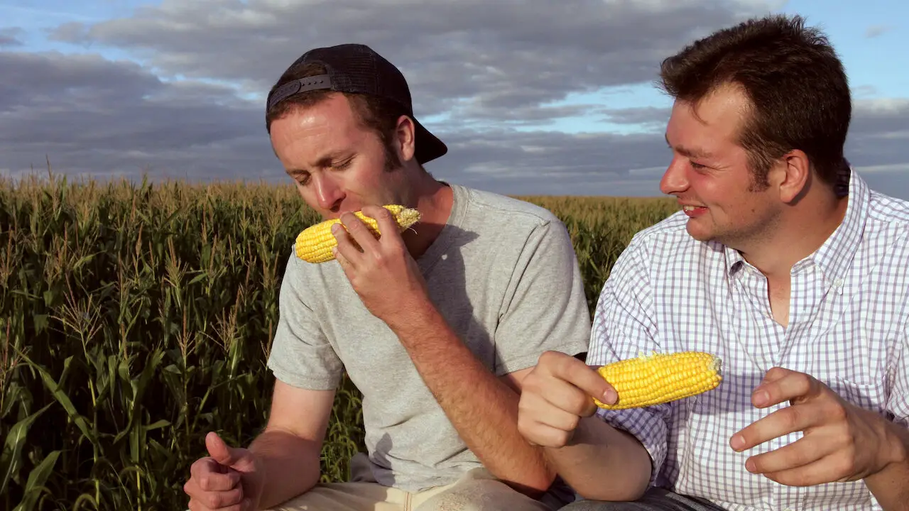 Corn in your stool should only be concerning if it is accompanied by other peculiarities (Netflix)