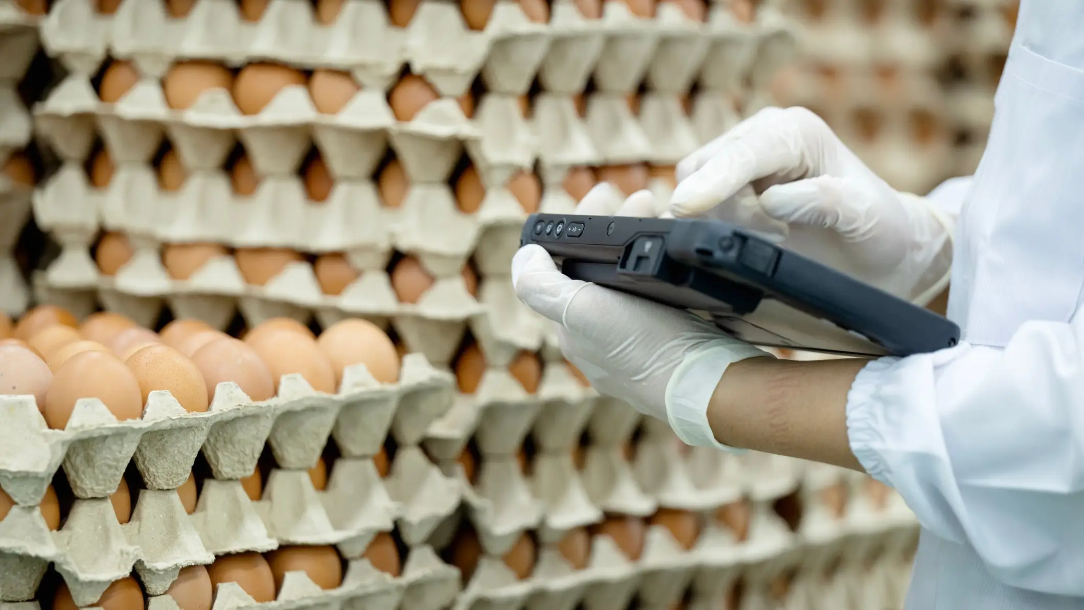 Nitat Termmee/Getty Images