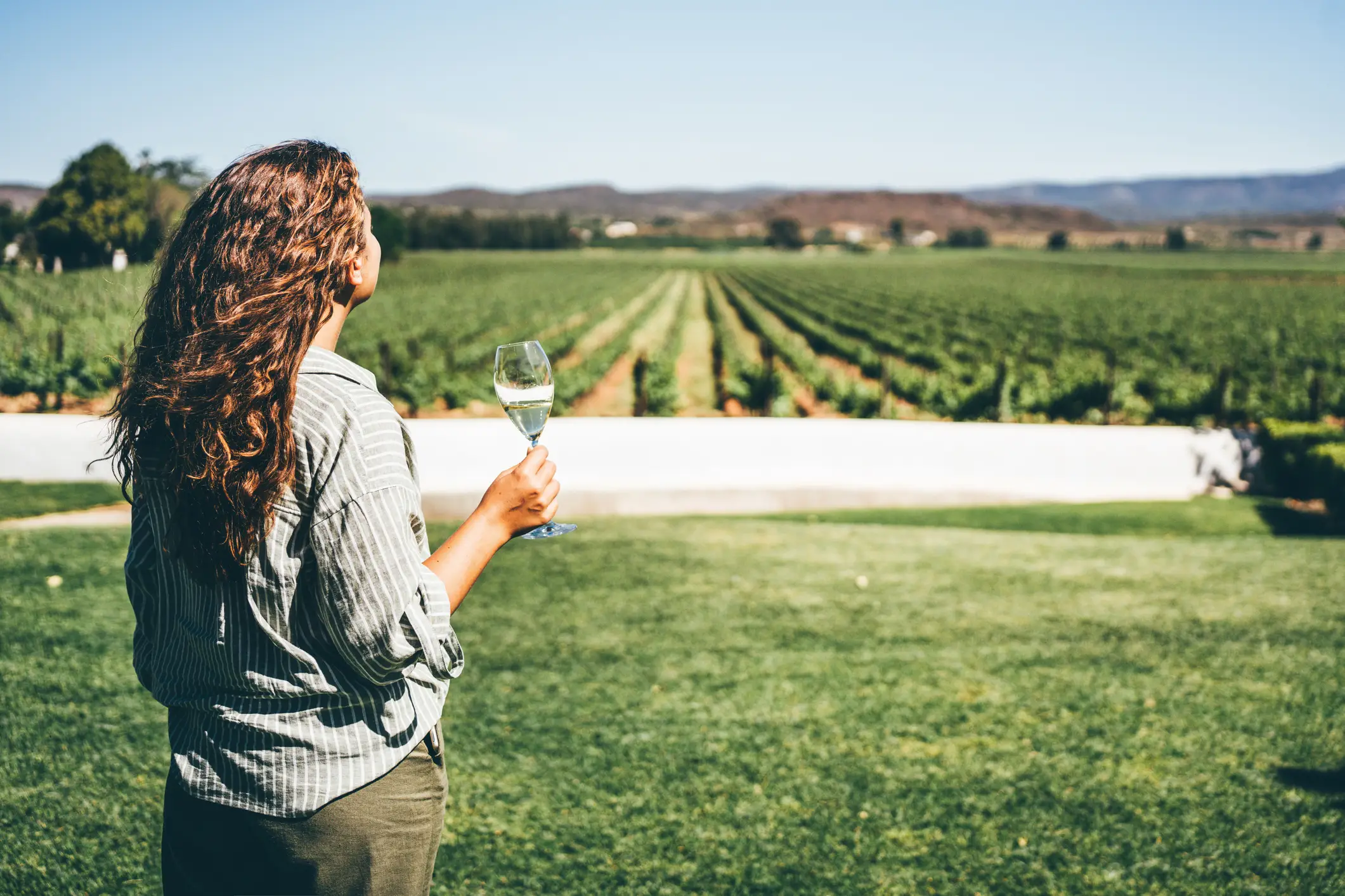Now you won't look like a fool next time you're getting half-cut whilst gazing over your vineyard (Maria Korneeva/Getty Images)