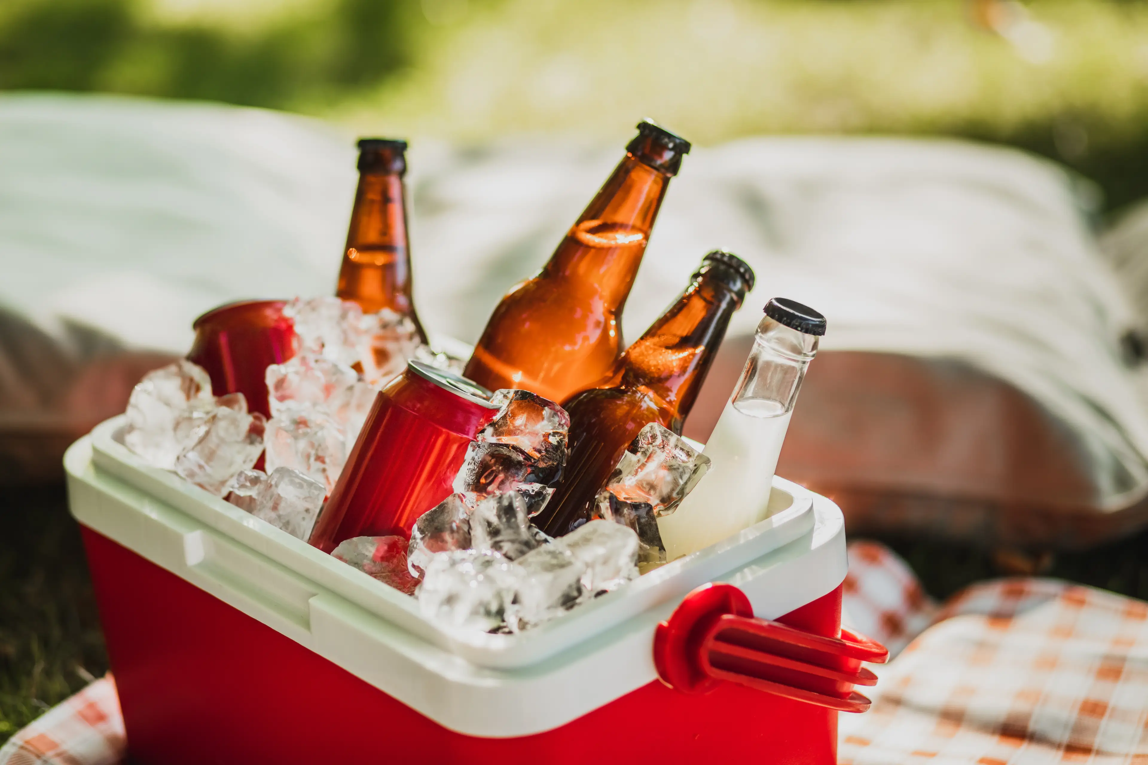 The expert claimed there was no health benefits to drinking alcohol (Getty Stock Image)