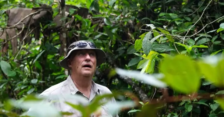 King Harald visited the rainforest in Brazil in 2013 (Rainforest Foundation Norway/ISA Brazil)