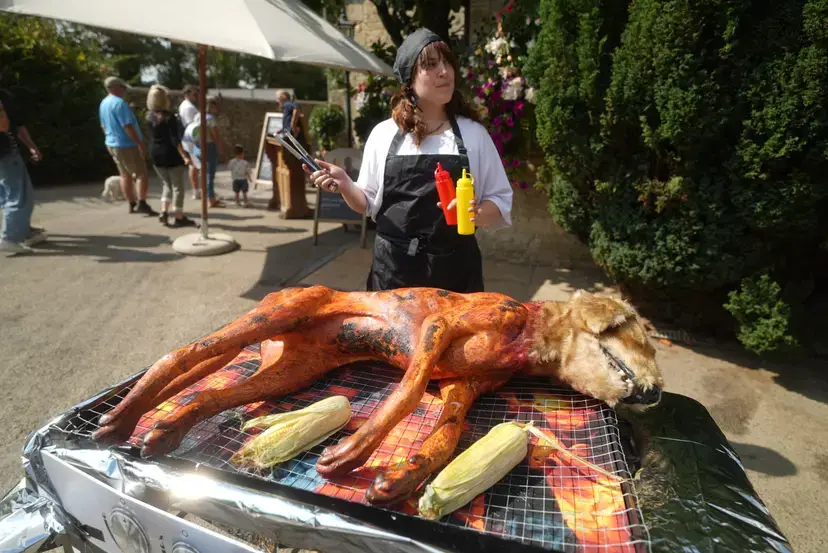 The fake 'dog BBQ' was praised by PETA bosses (PETA)