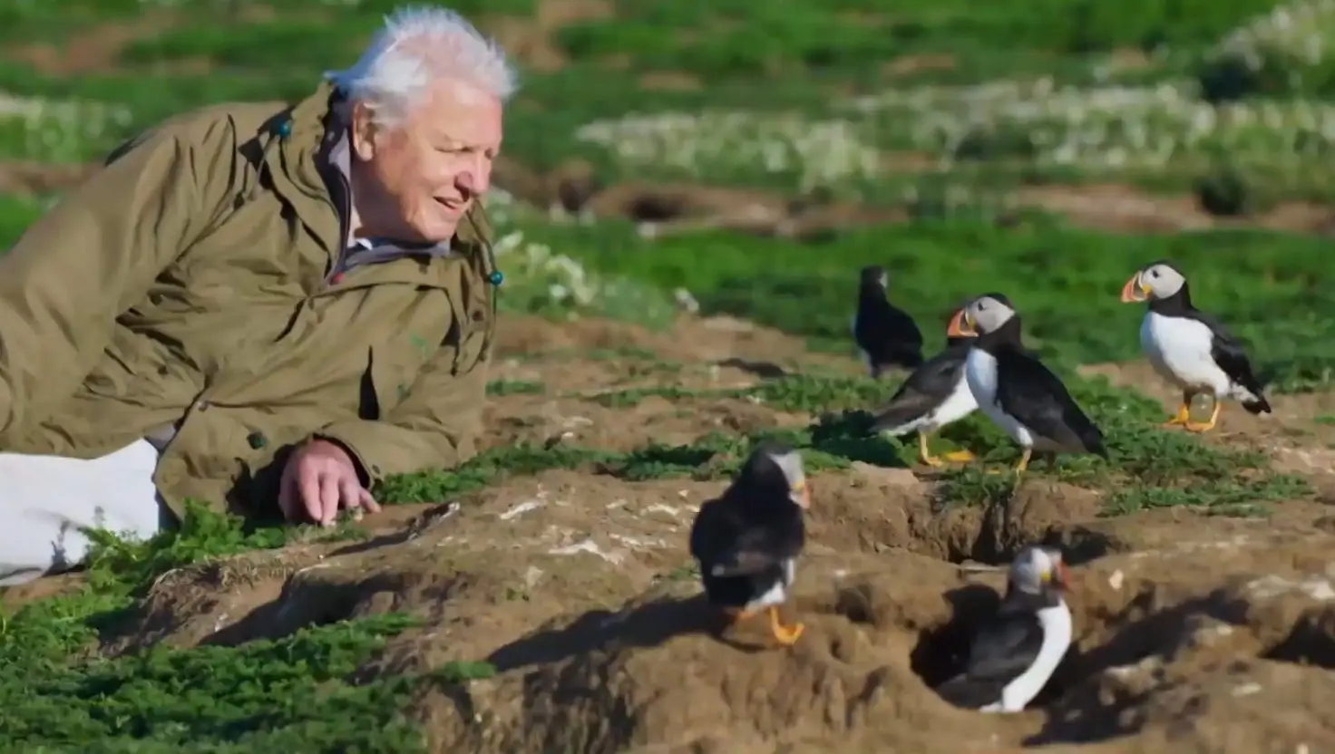 The animal expert tends to eat small portions (BBC)