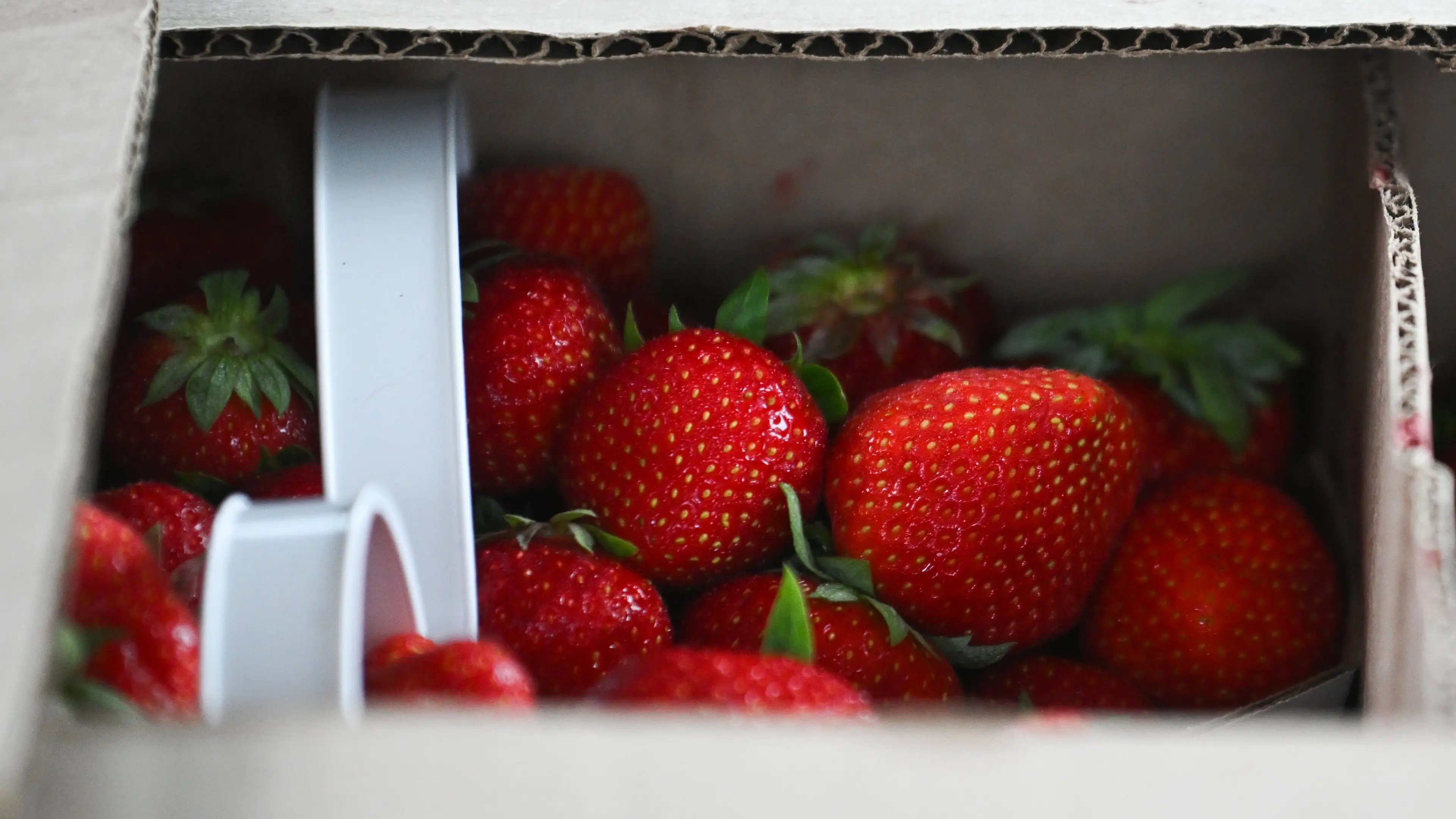 Bloomberg / Contributor/Getty Images