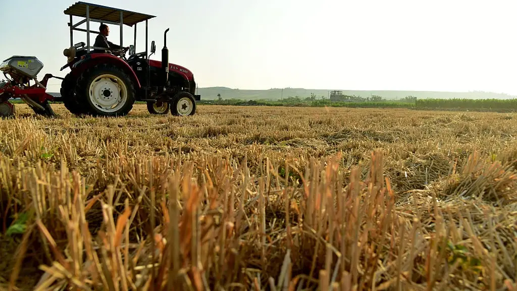 NurPhoto / Contributor/Getty Images