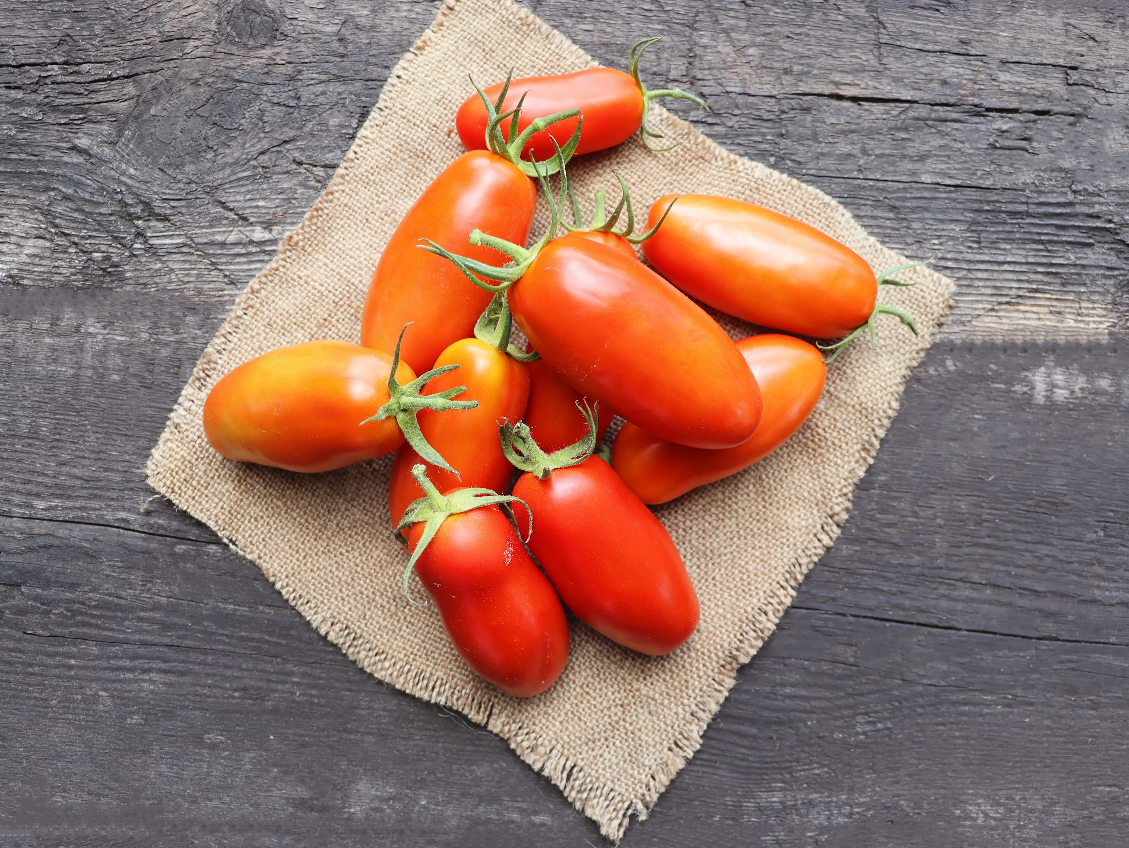 San Marzanos must qualify to recieve the Consortium's seal of approval (Getty Stock Image)