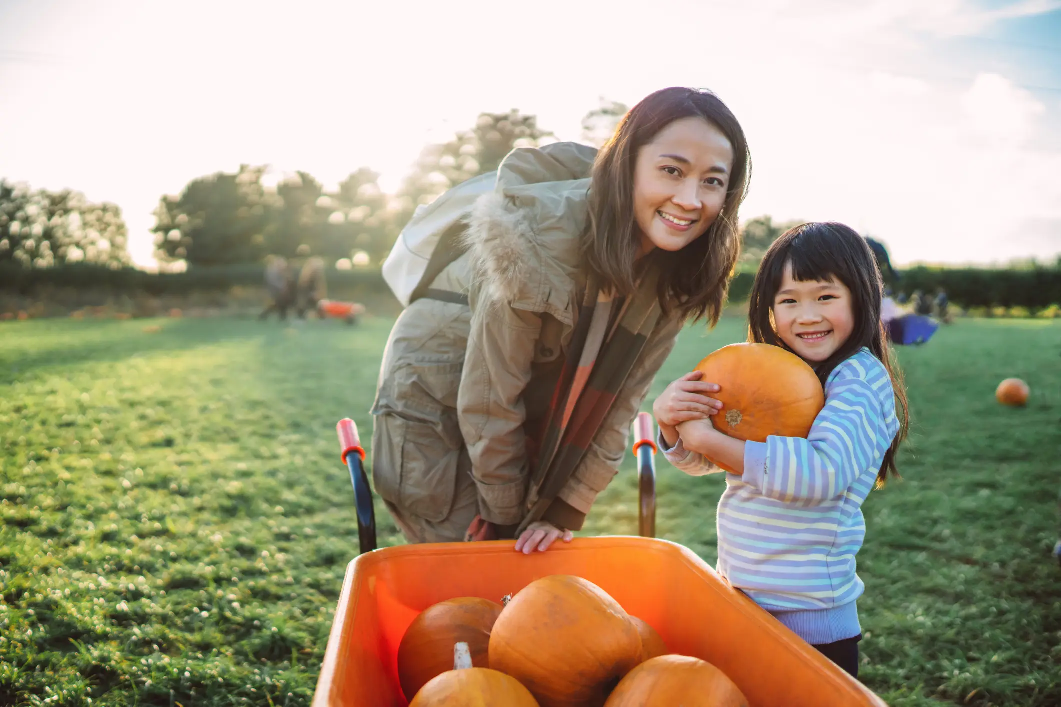 It's unclear why these guys need so many pumpkins - Images By Tang Ming Tung via Getty Images