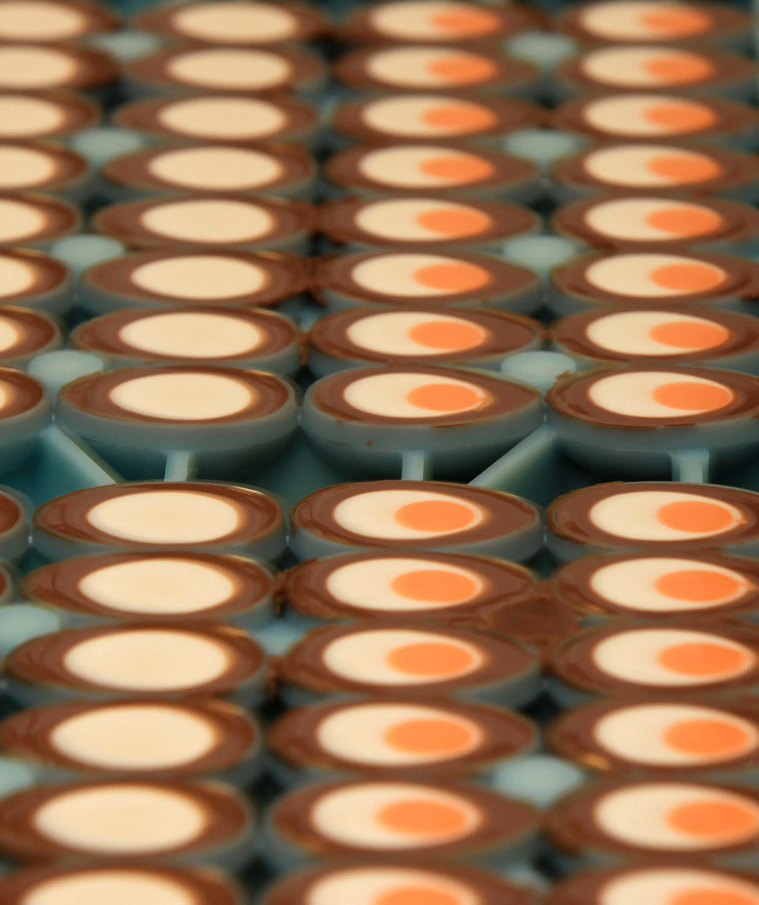 The seamless factory experience has seemingly fascinated social media users (Christopher Furlong/Getty Images)