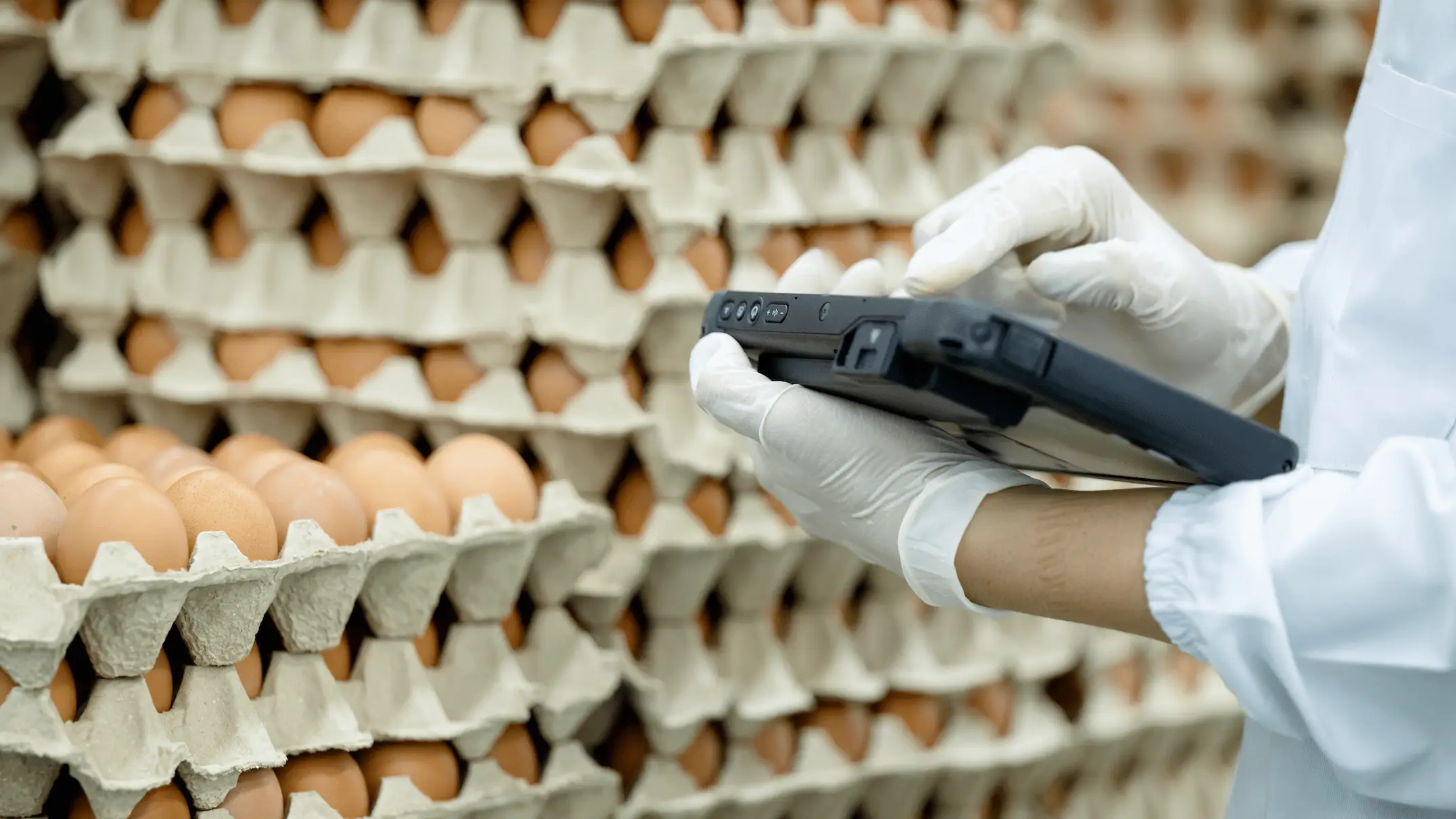 Nitat Termmee/Getty Images