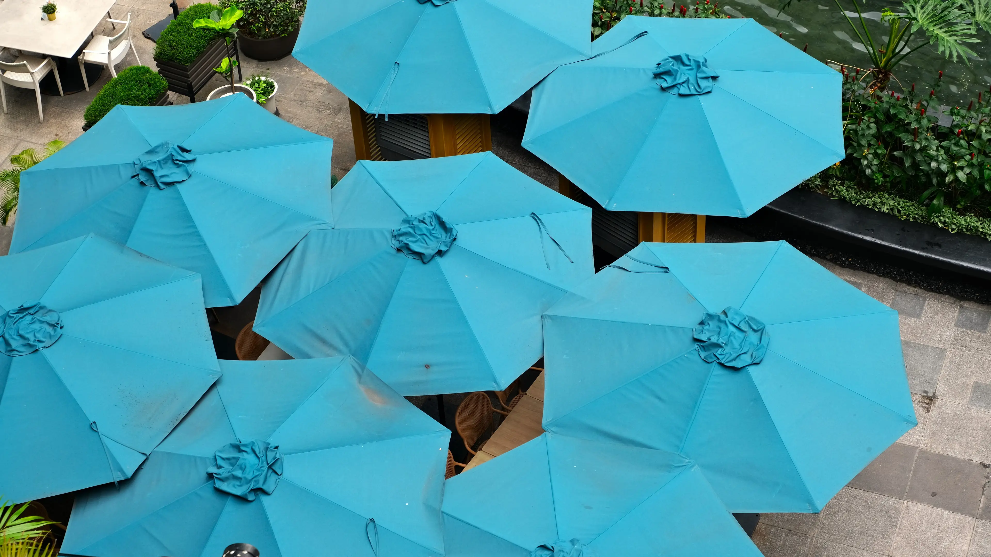 Woman tragically dies after being hit by patio umbrella at restaurant