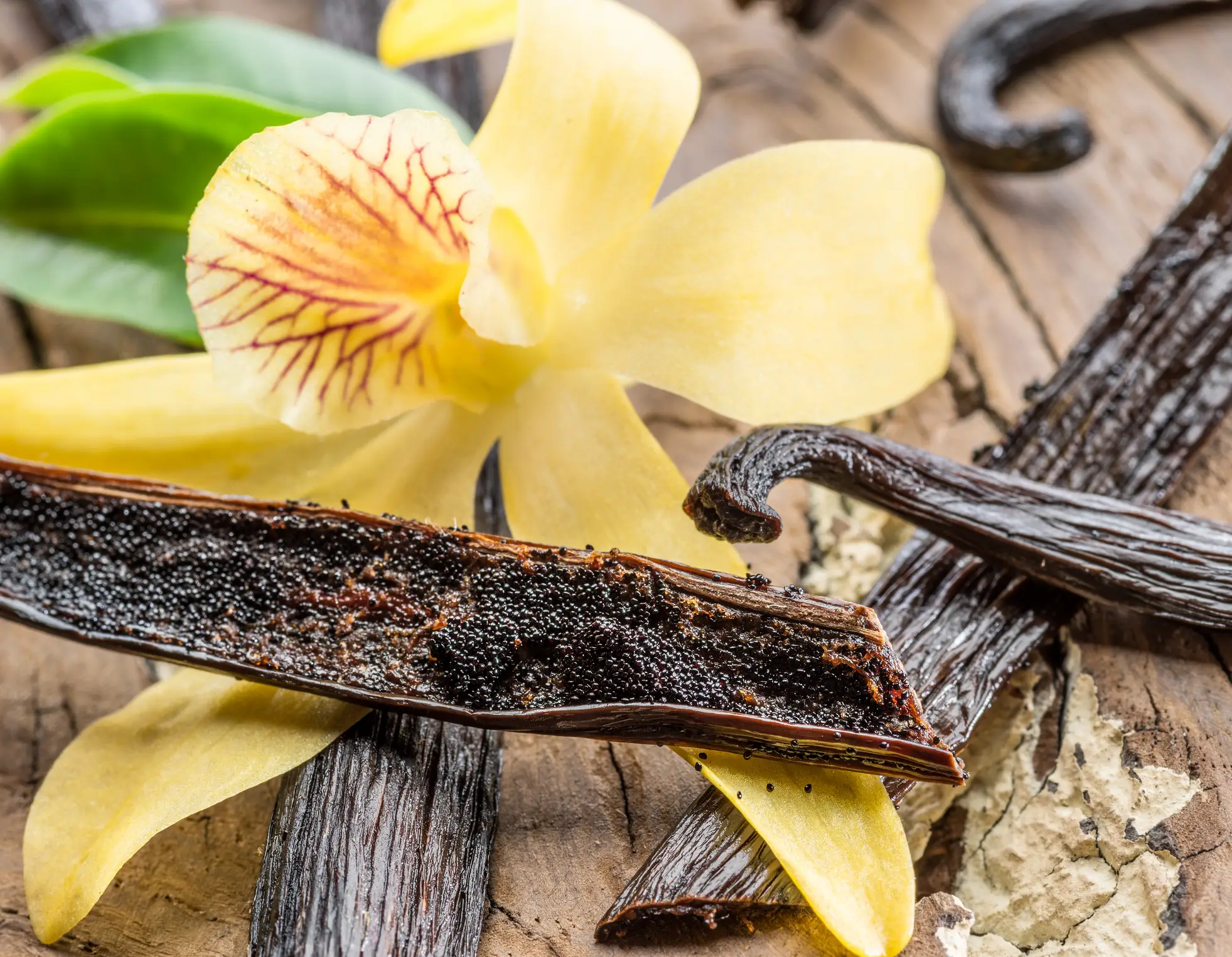 The medicinal traits of vanilla have been looked at for wound healing (Getty Stock)