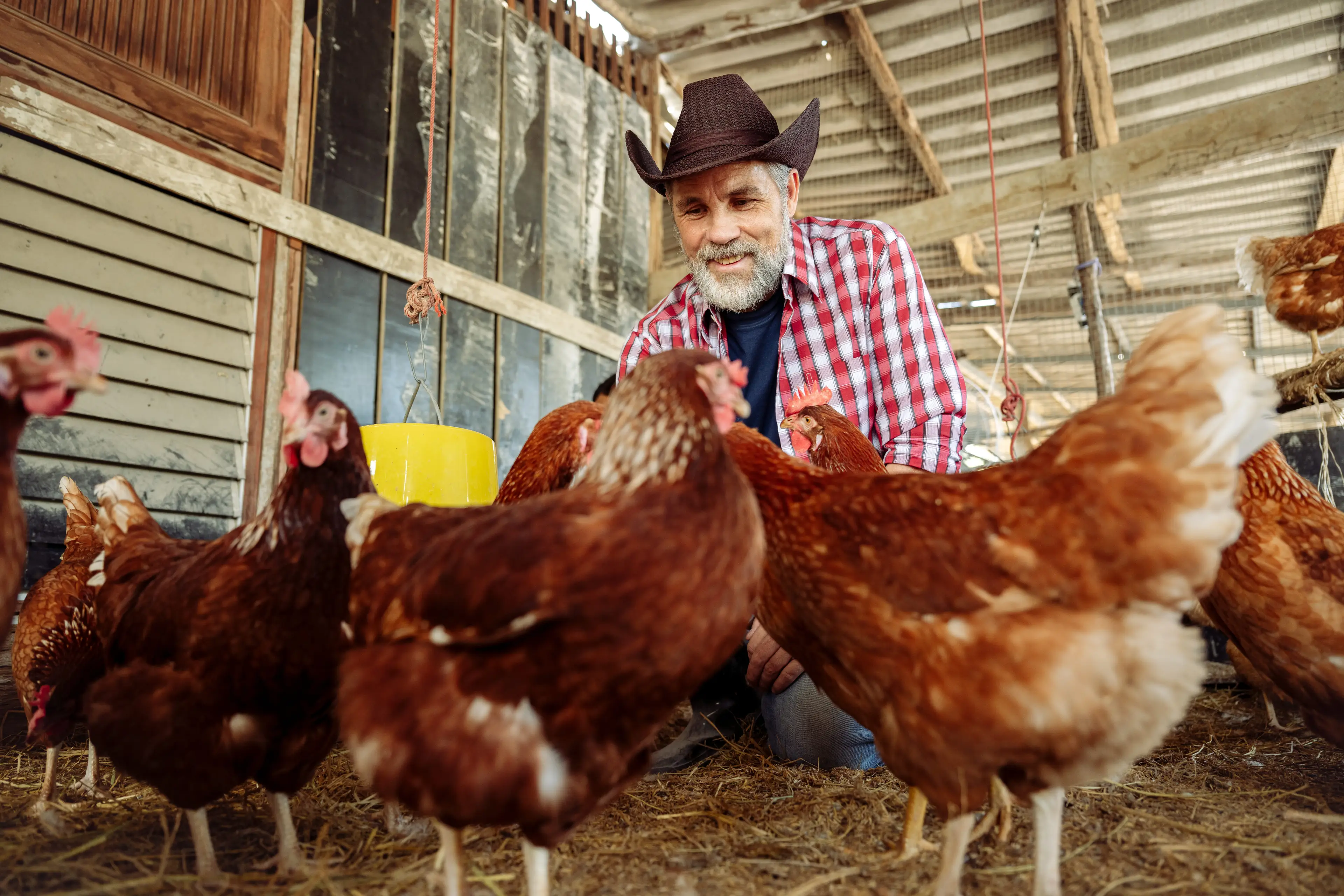 Be sure to store your eggs correctly (Getty Stock Image)